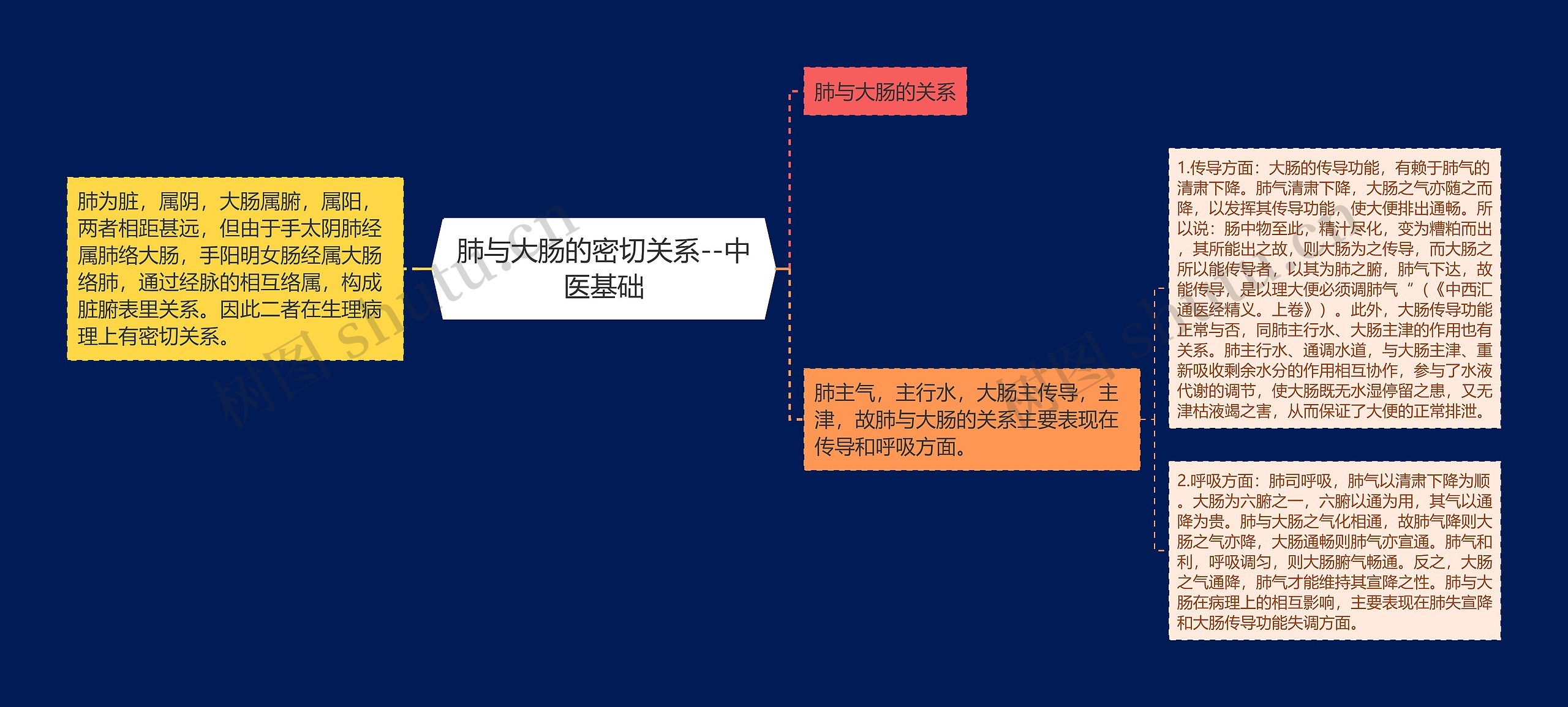 肺与大肠的密切关系--中医基础