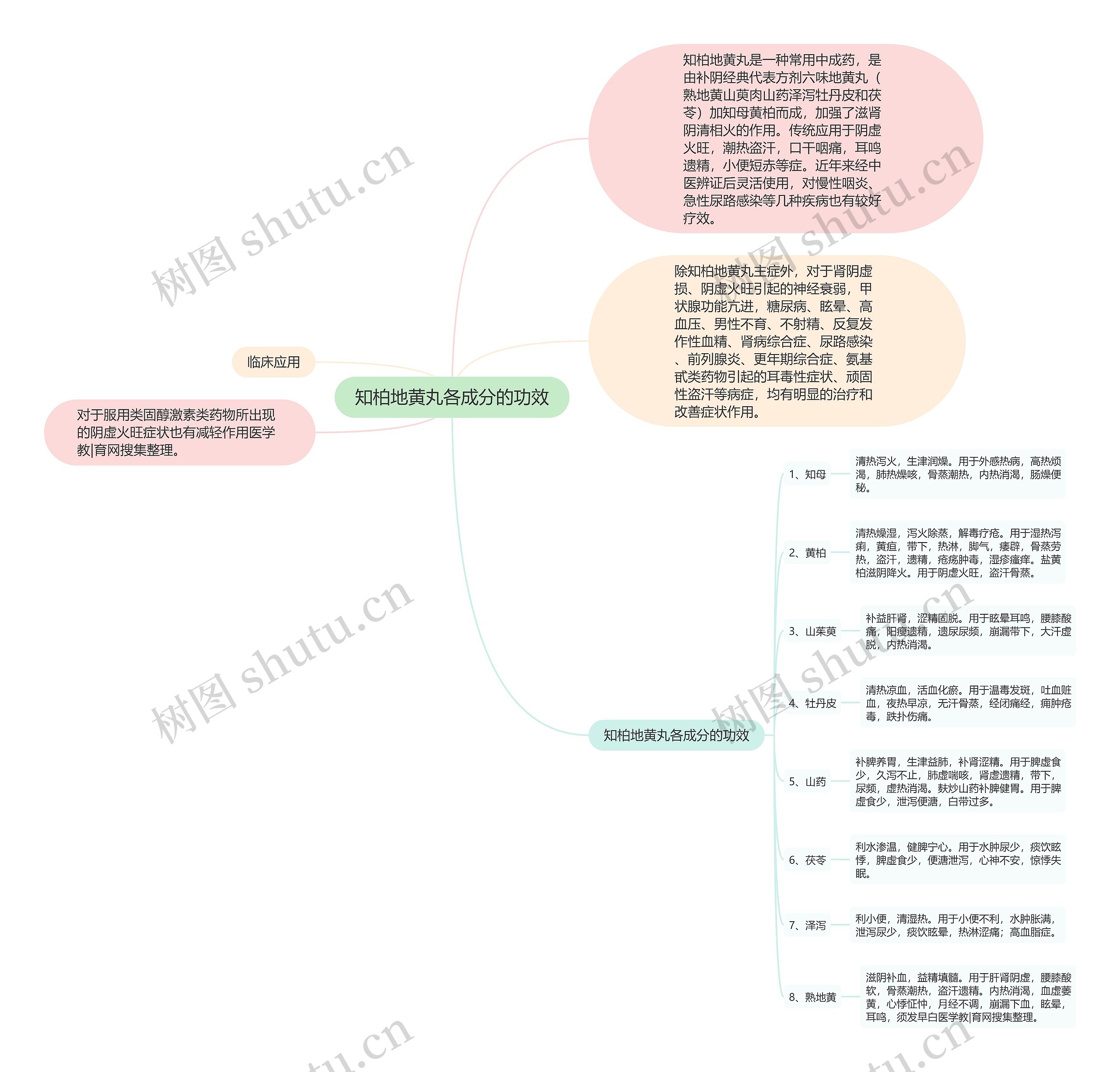 知柏地黄丸各成分的功效思维导图