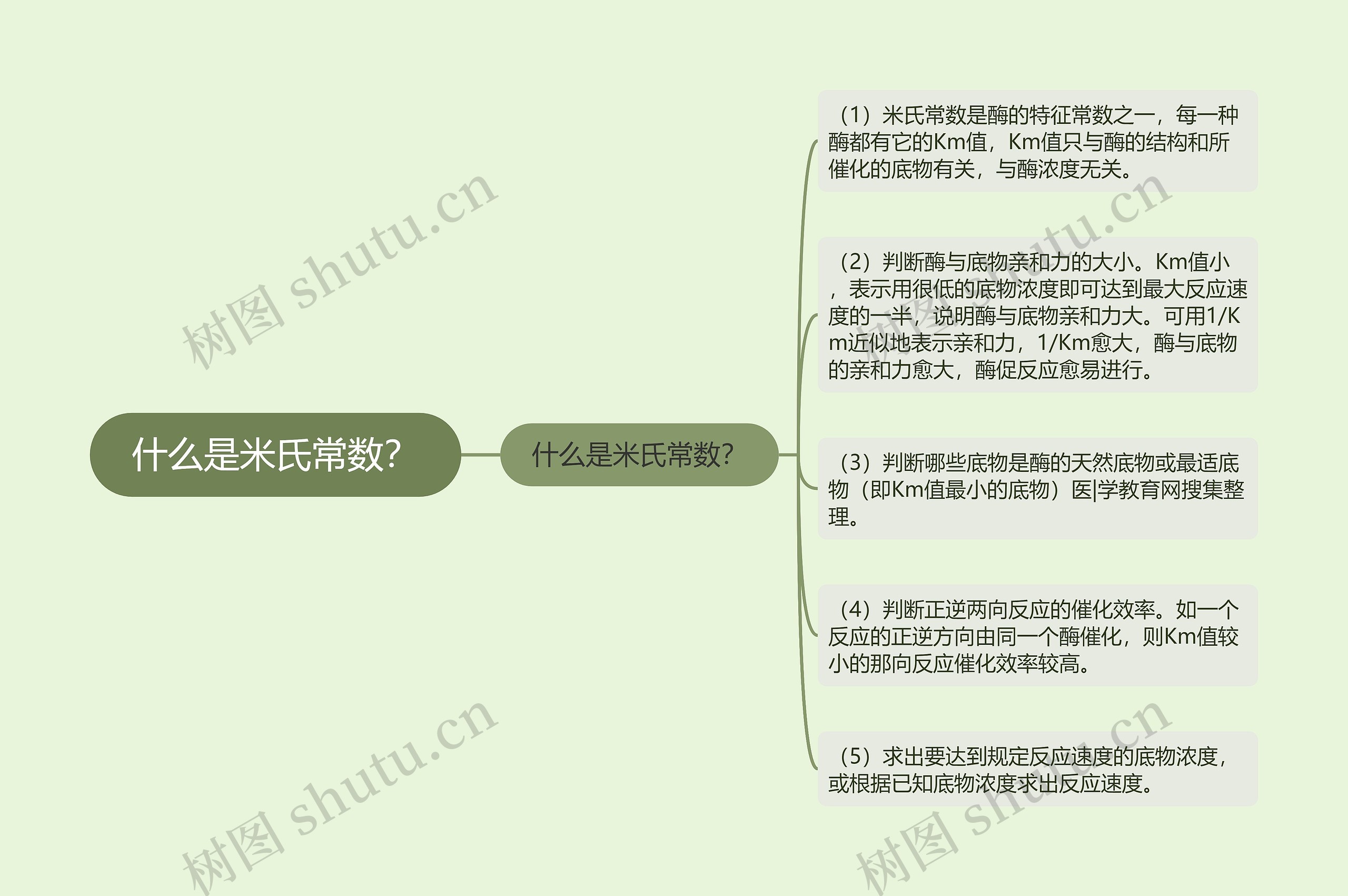 什么是米氏常数？思维导图