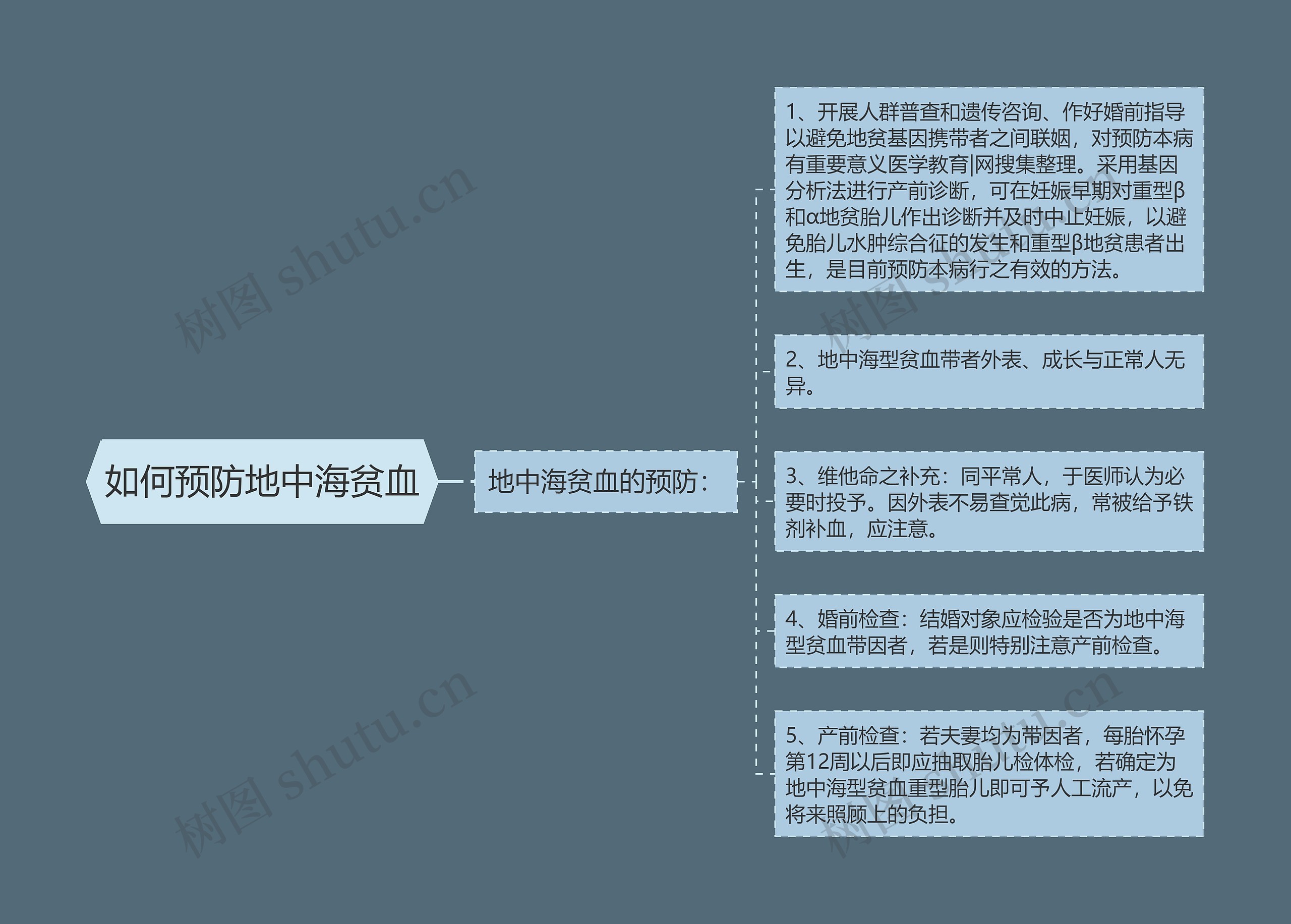 如何预防地中海贫血