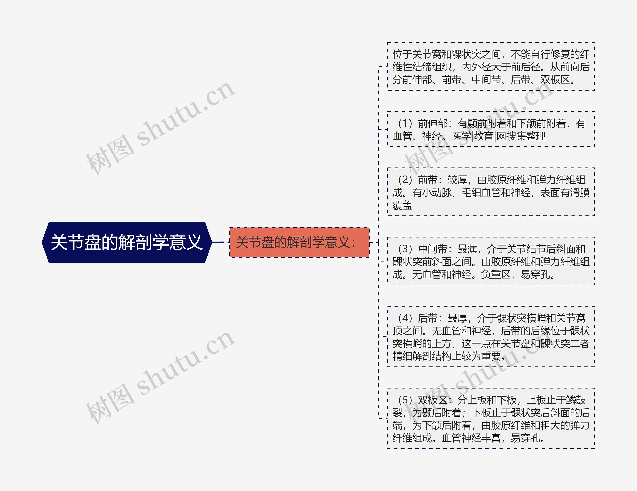 关节盘的解剖学意义