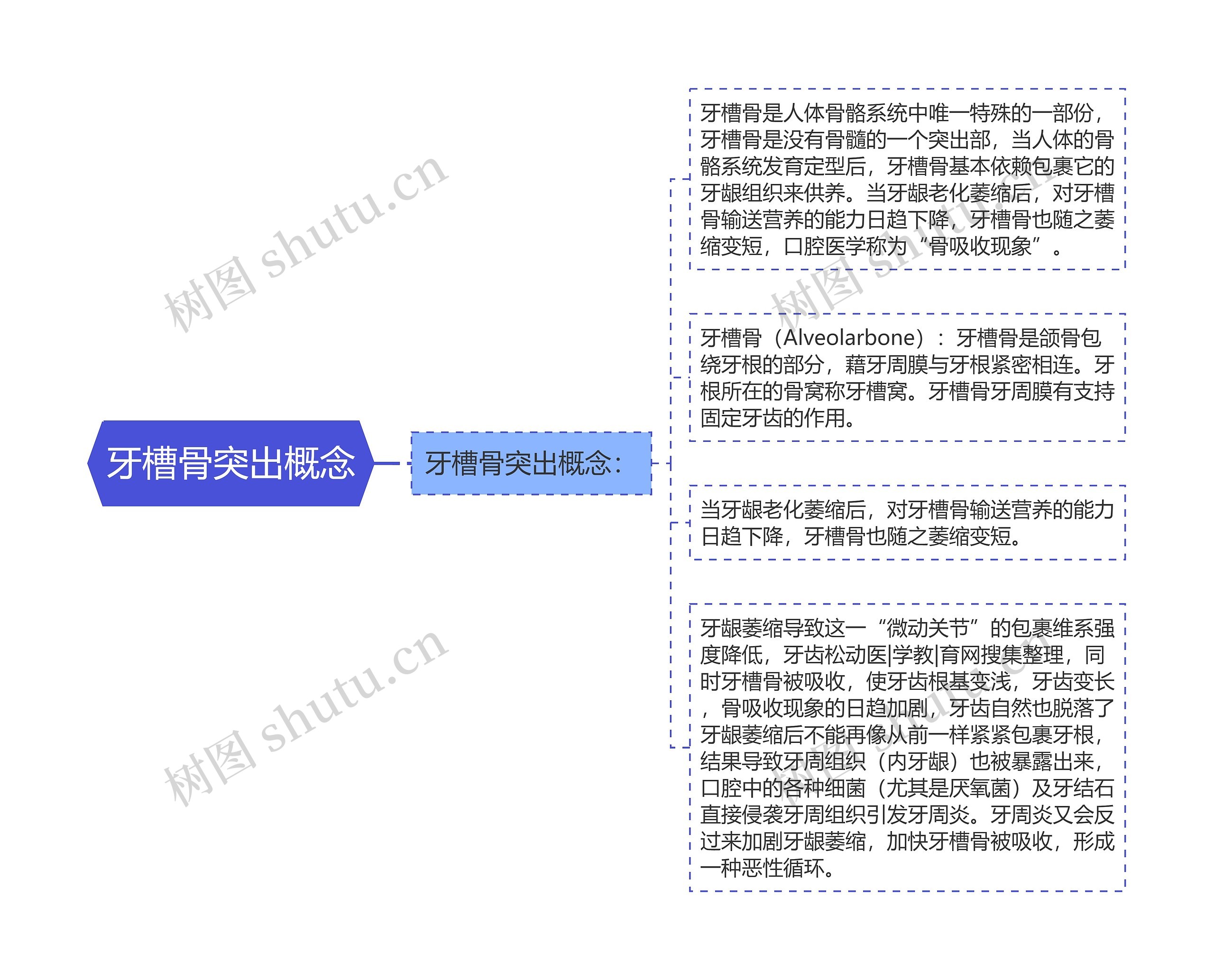 牙槽骨突出概念思维导图