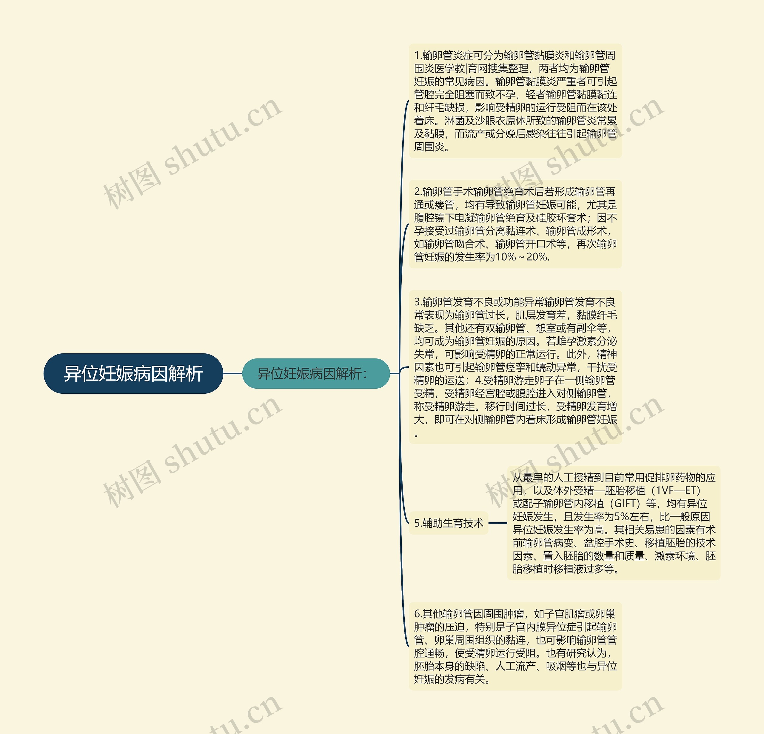 异位妊娠病因解析