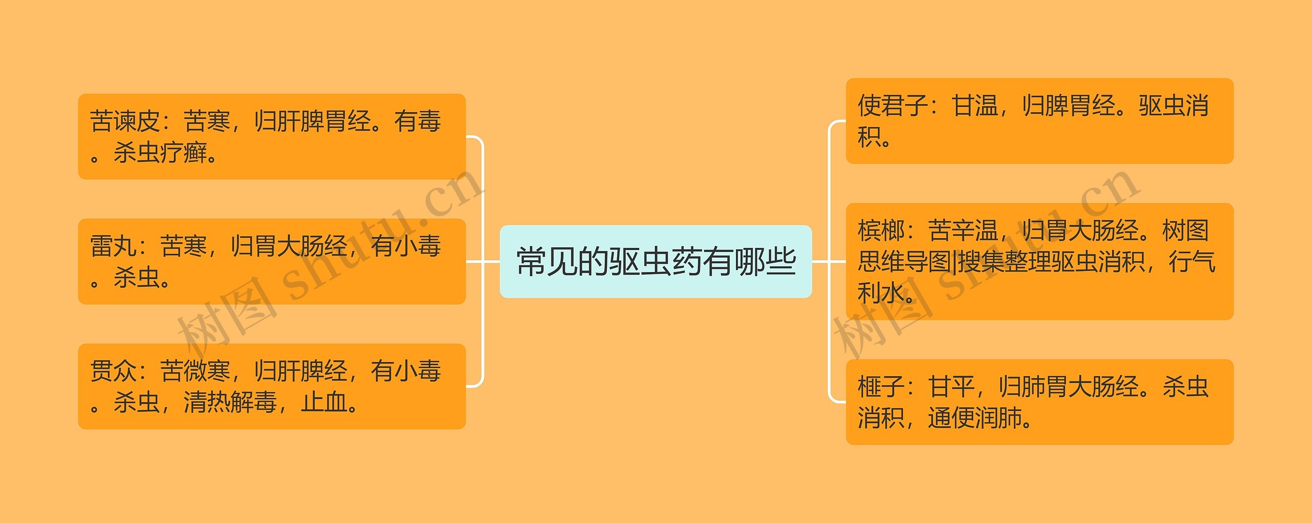 常见的驱虫药有哪些 常见的驱虫药有哪些
