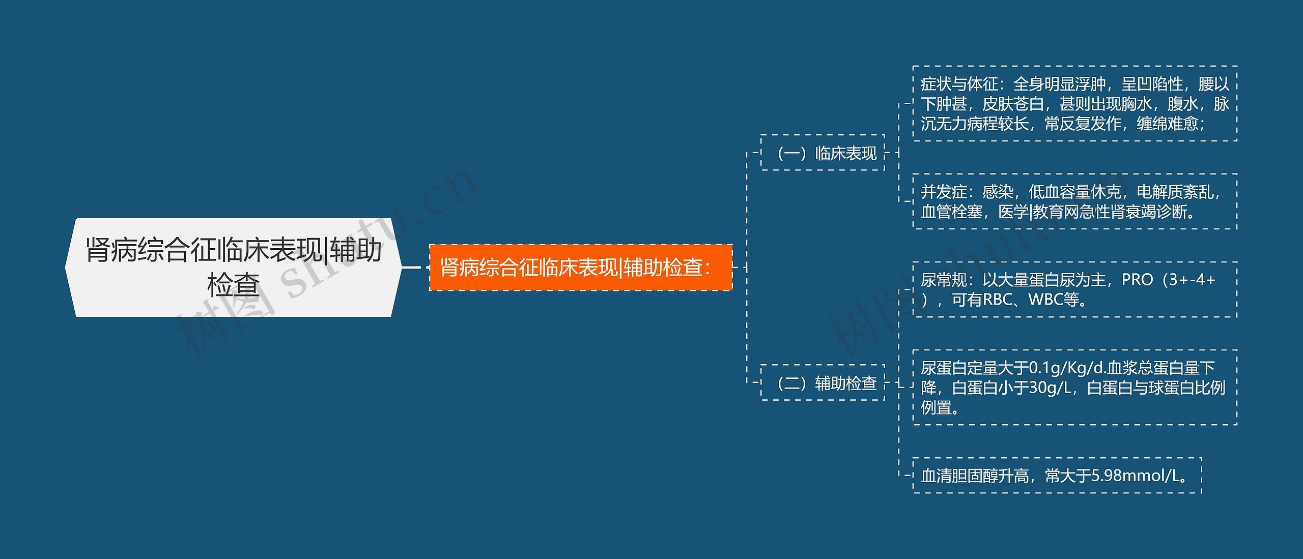 肾病综合征临床表现|辅助检查思维导图