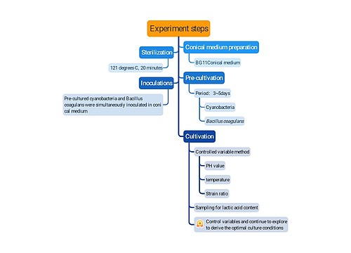 Experiment steps