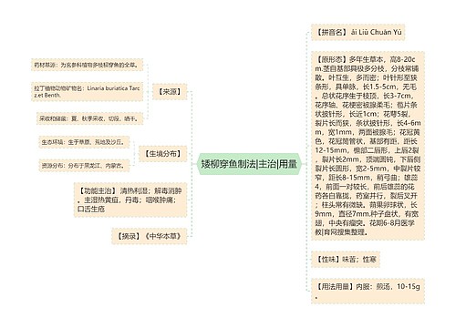 矮柳穿鱼制法|主治|用量