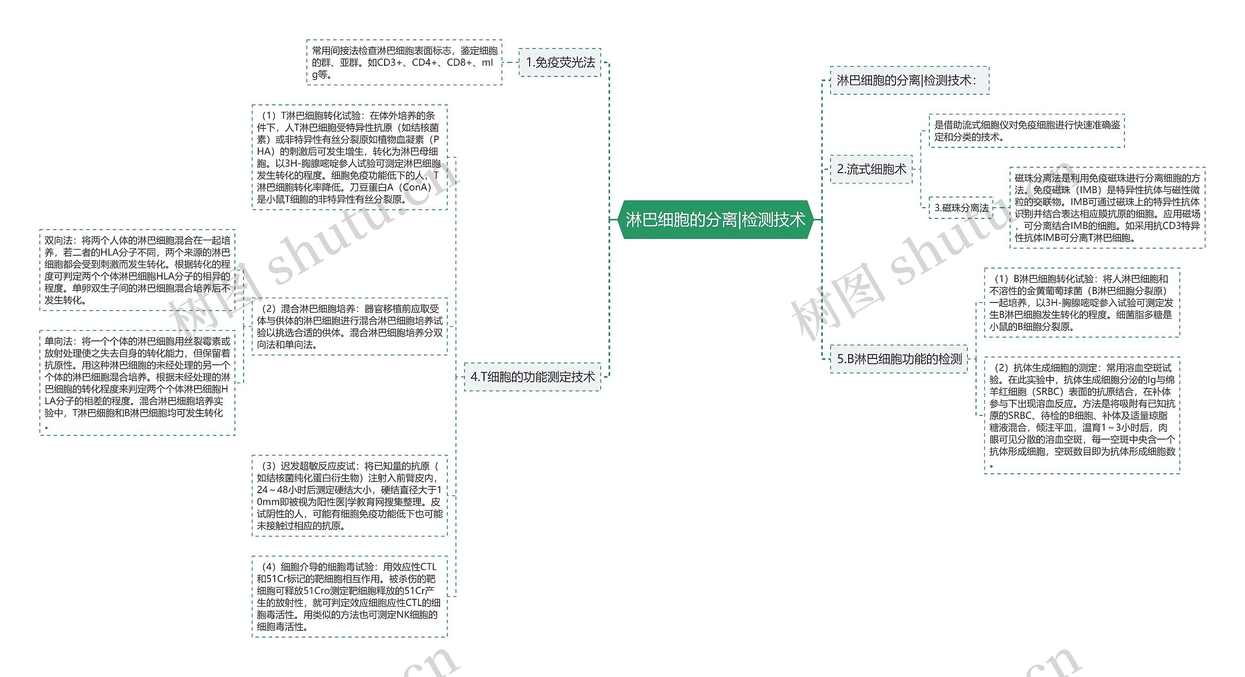 淋巴细胞的分离|检测技术 淋巴细胞的分离|检测技术
