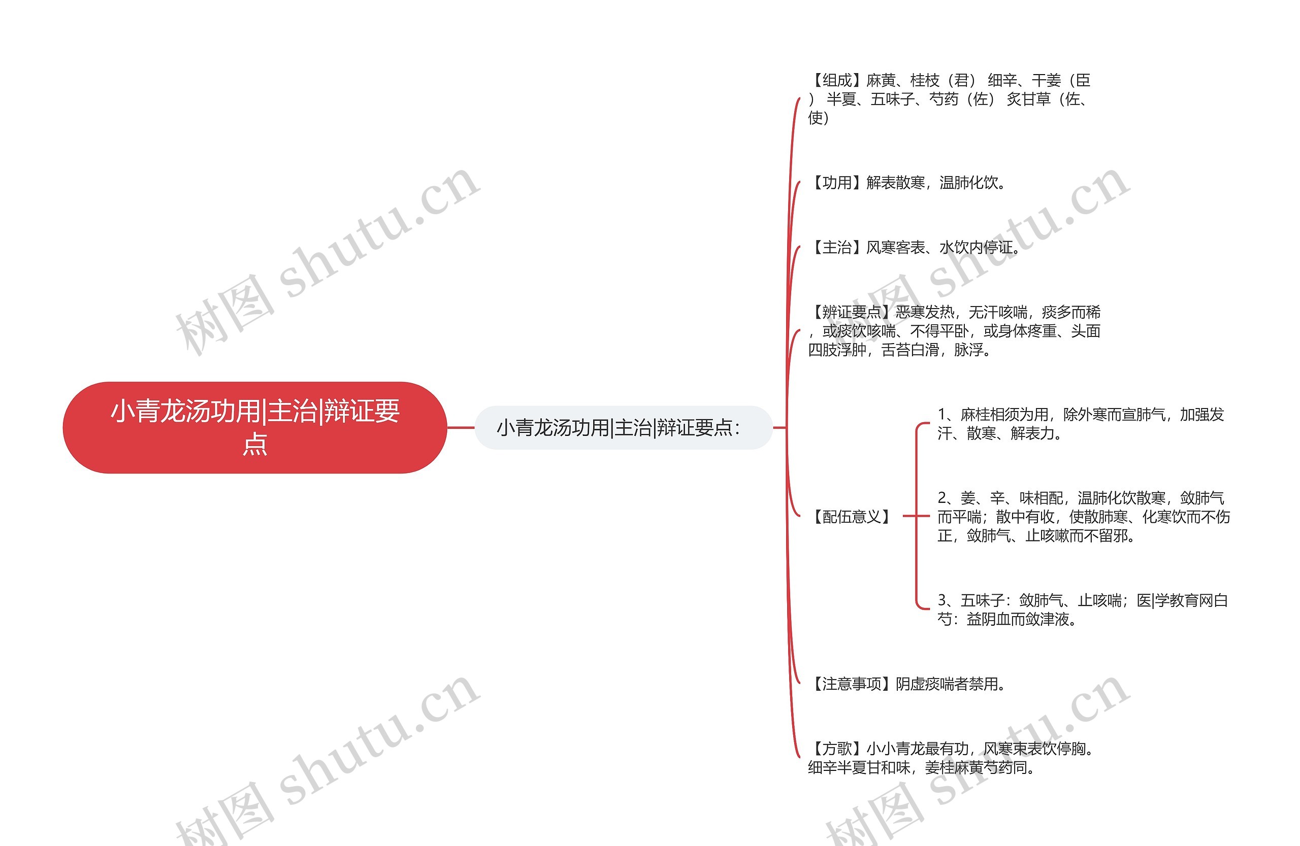 小青龙汤功用|主治|辩证要点思维导图