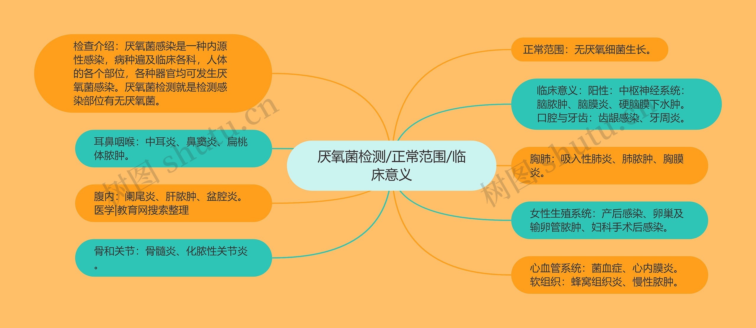 厌氧菌检测/正常范围/临床意义