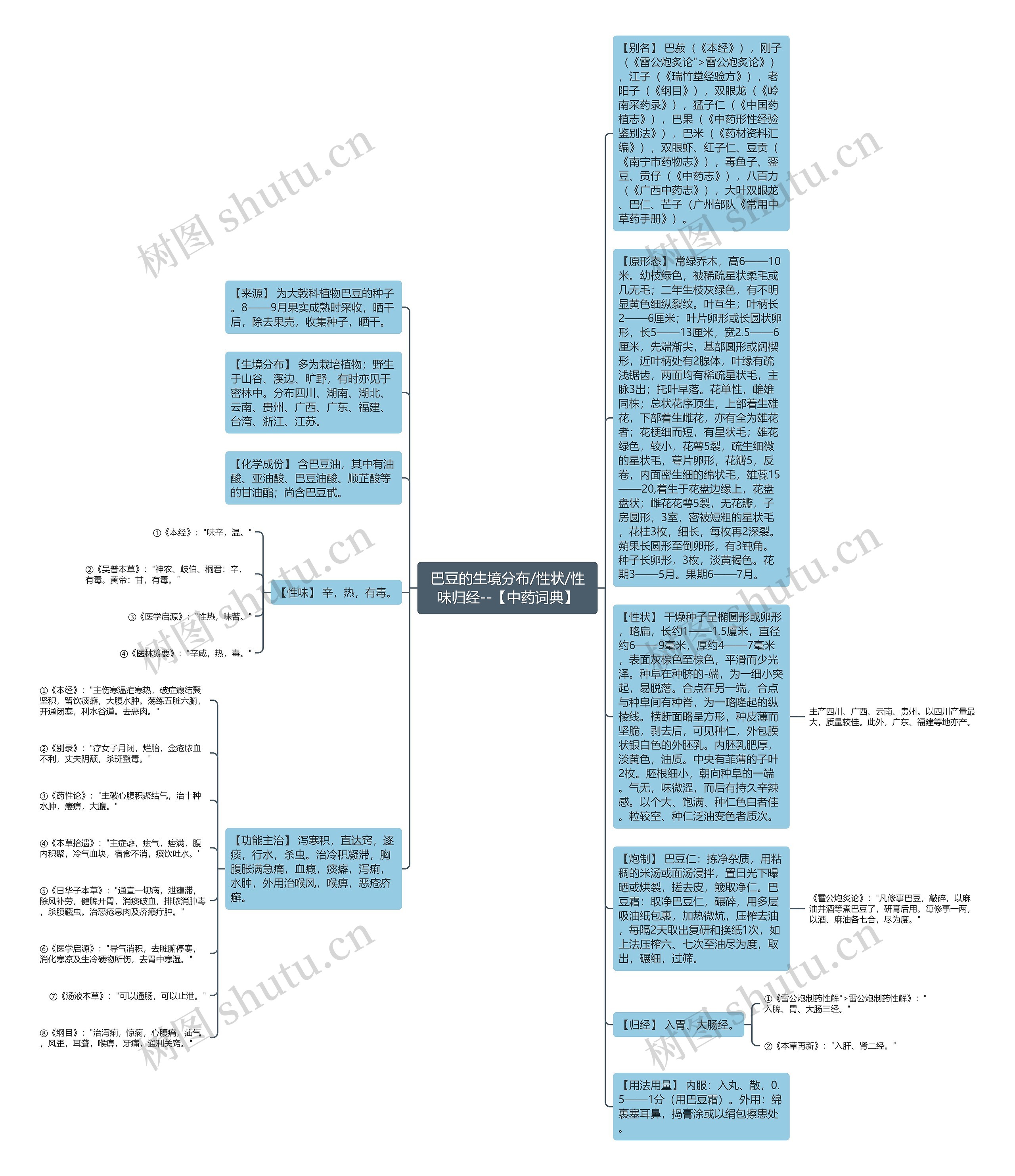 巴豆的生境分布/性状/性味归经--【中药词典】思维导图