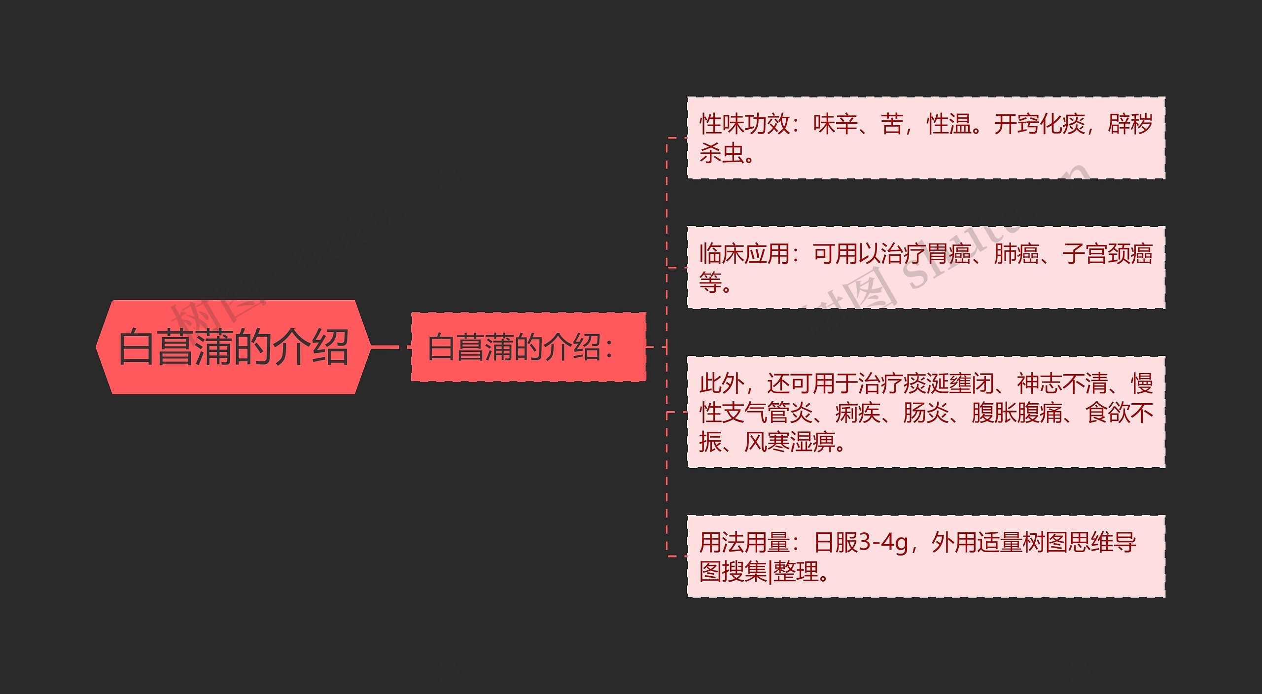 白菖蒲的介绍 白菖蒲的介绍