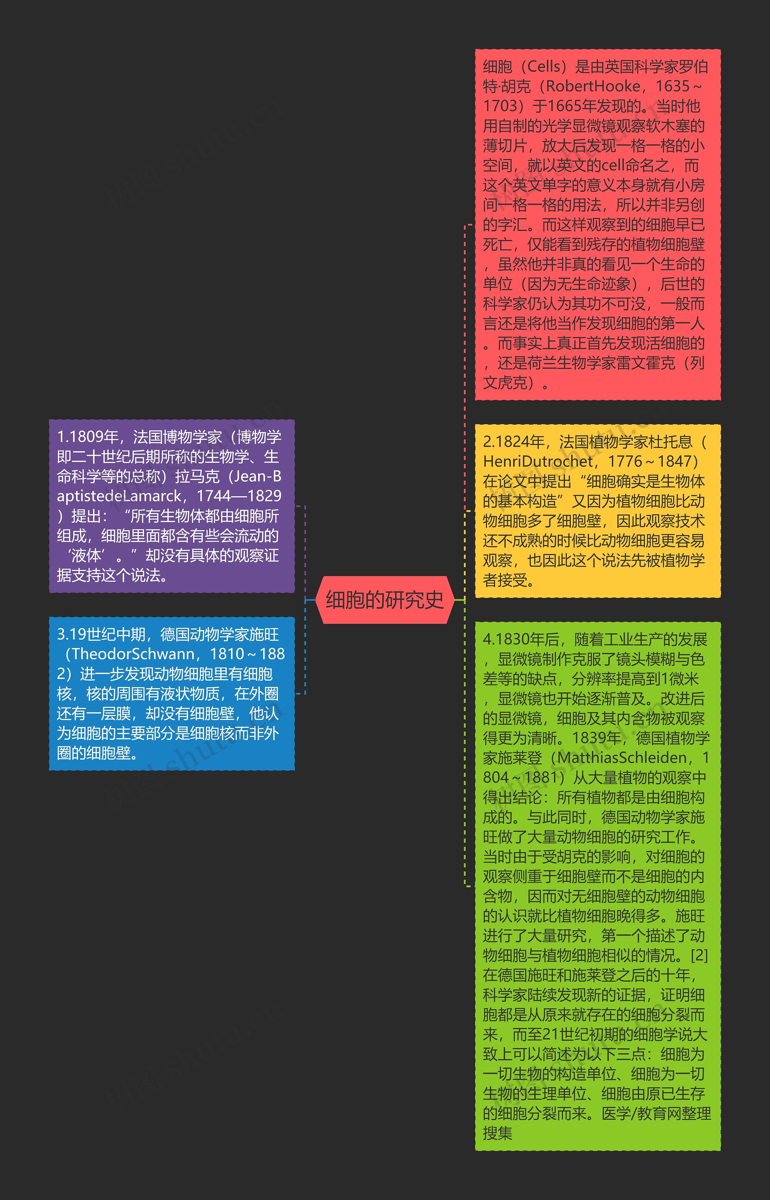 细胞的研究史思维导图