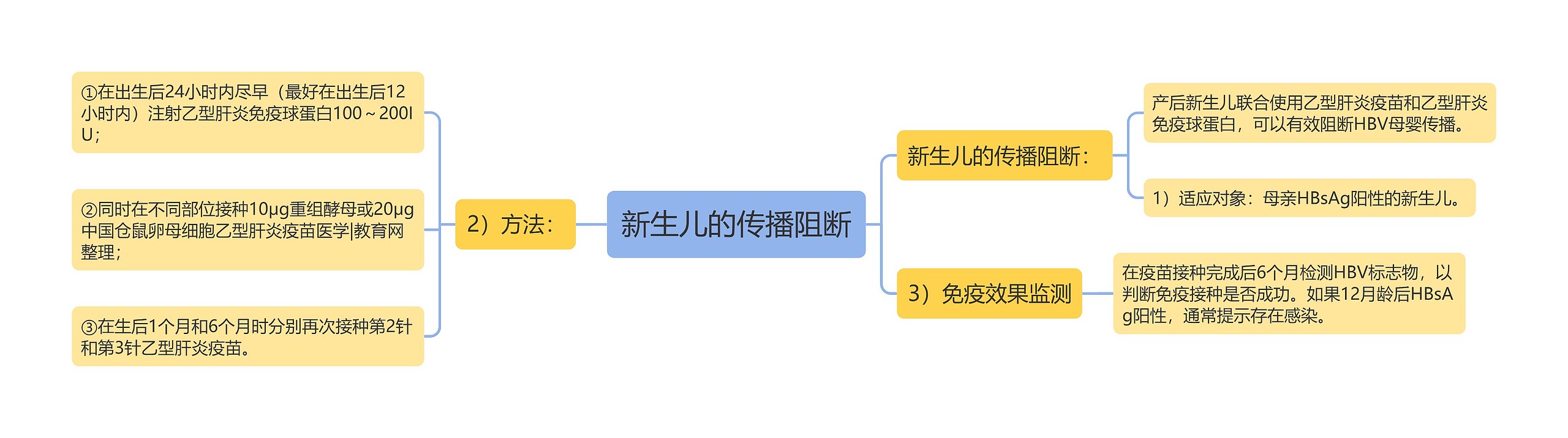 新生儿的传播阻断思维导图