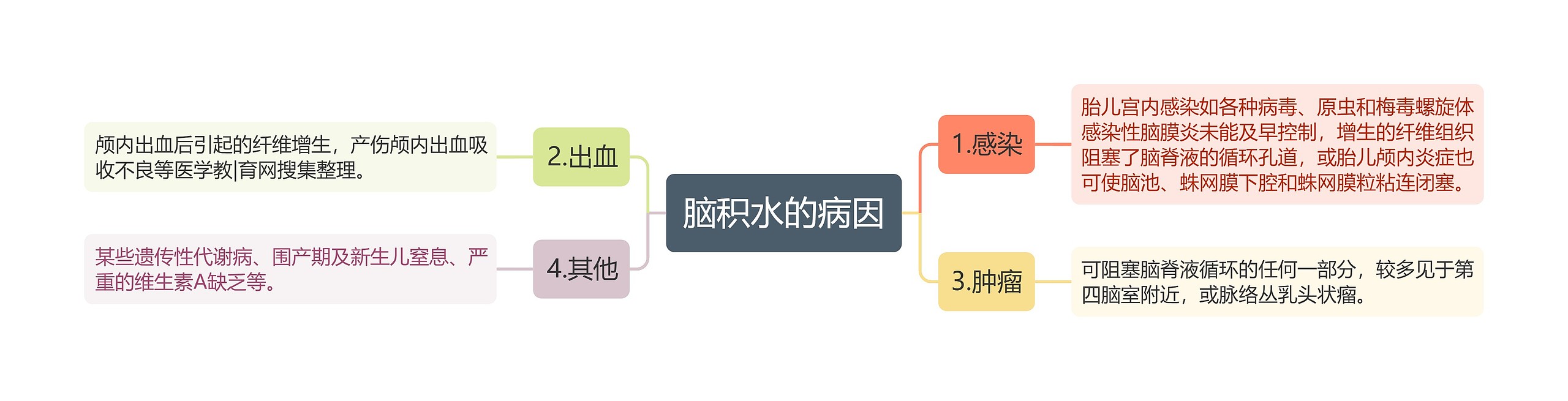 脑积水的病因