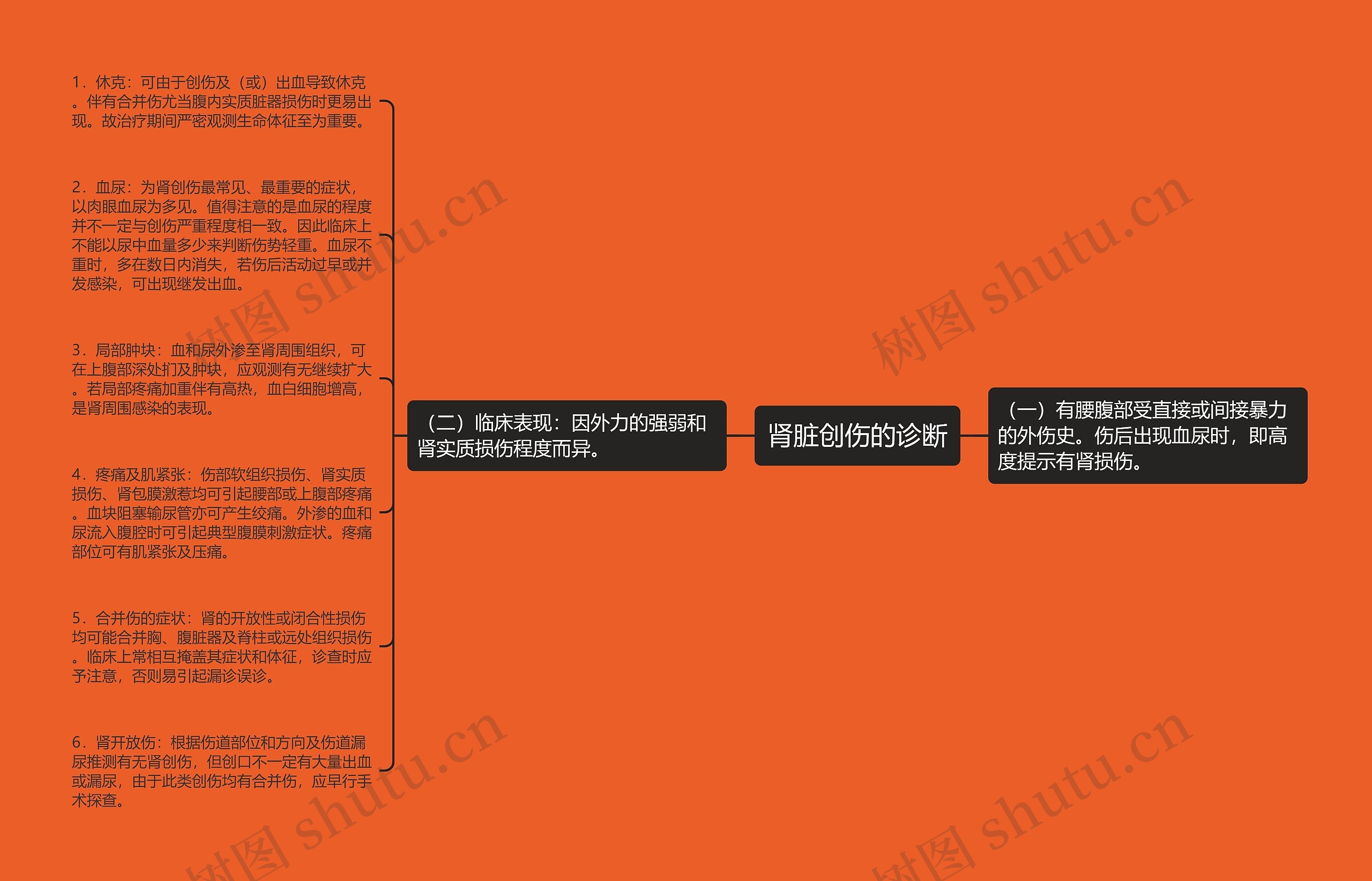 肾脏创伤的诊断 肾脏创伤的诊断