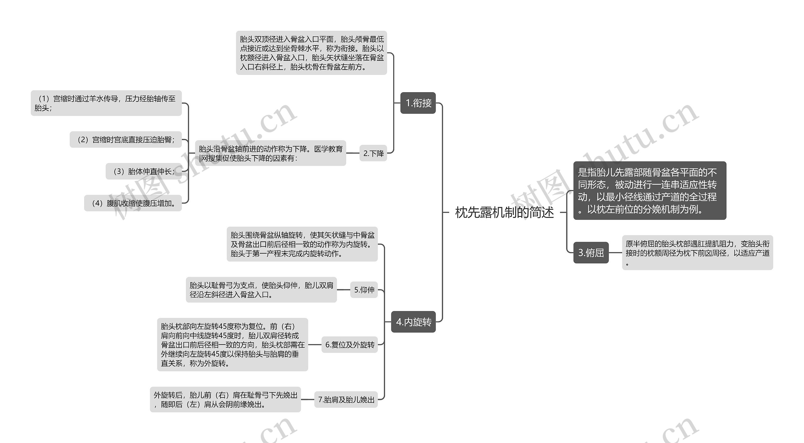 枕先露机制的简述思维导图