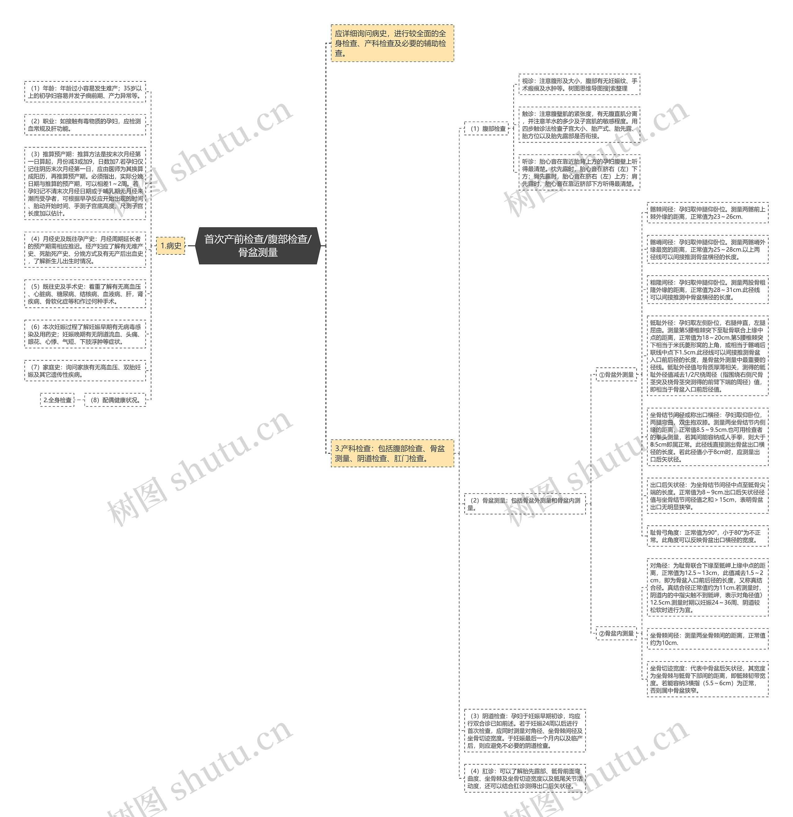 首次产前检查/腹部检查/骨盆测量思维导图