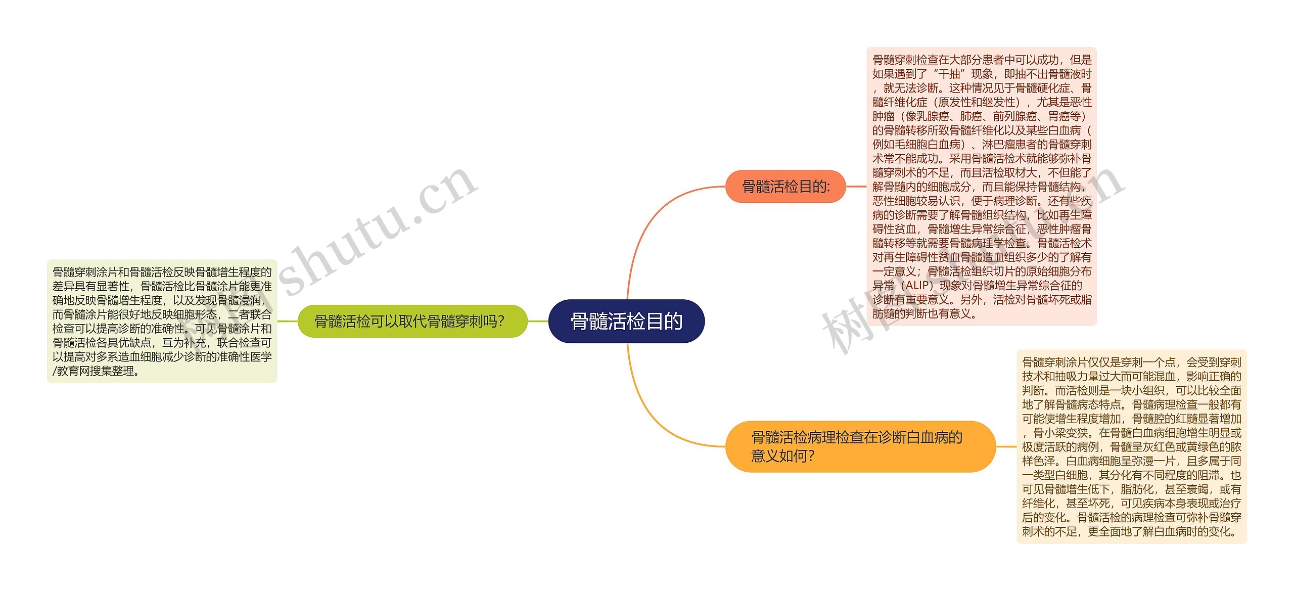 骨髓活检目的