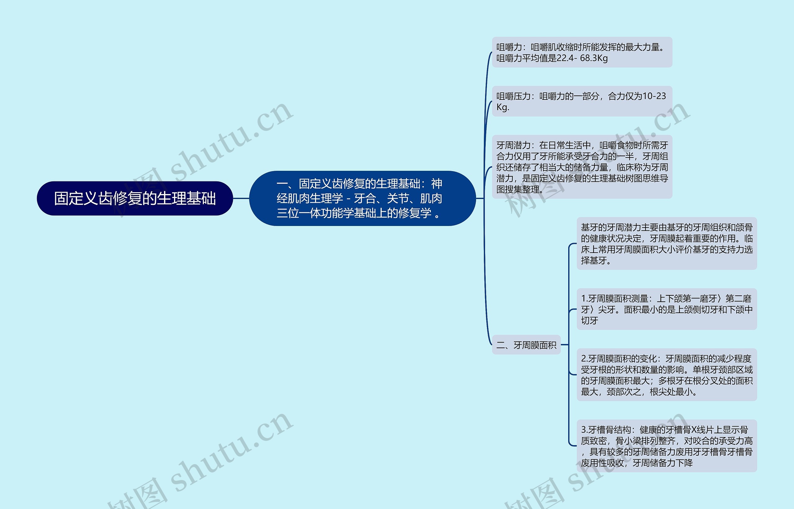 固定义齿修复的生理基础