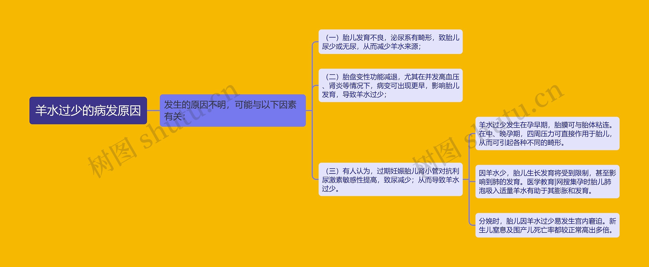 羊水过少的病发原因思维导图