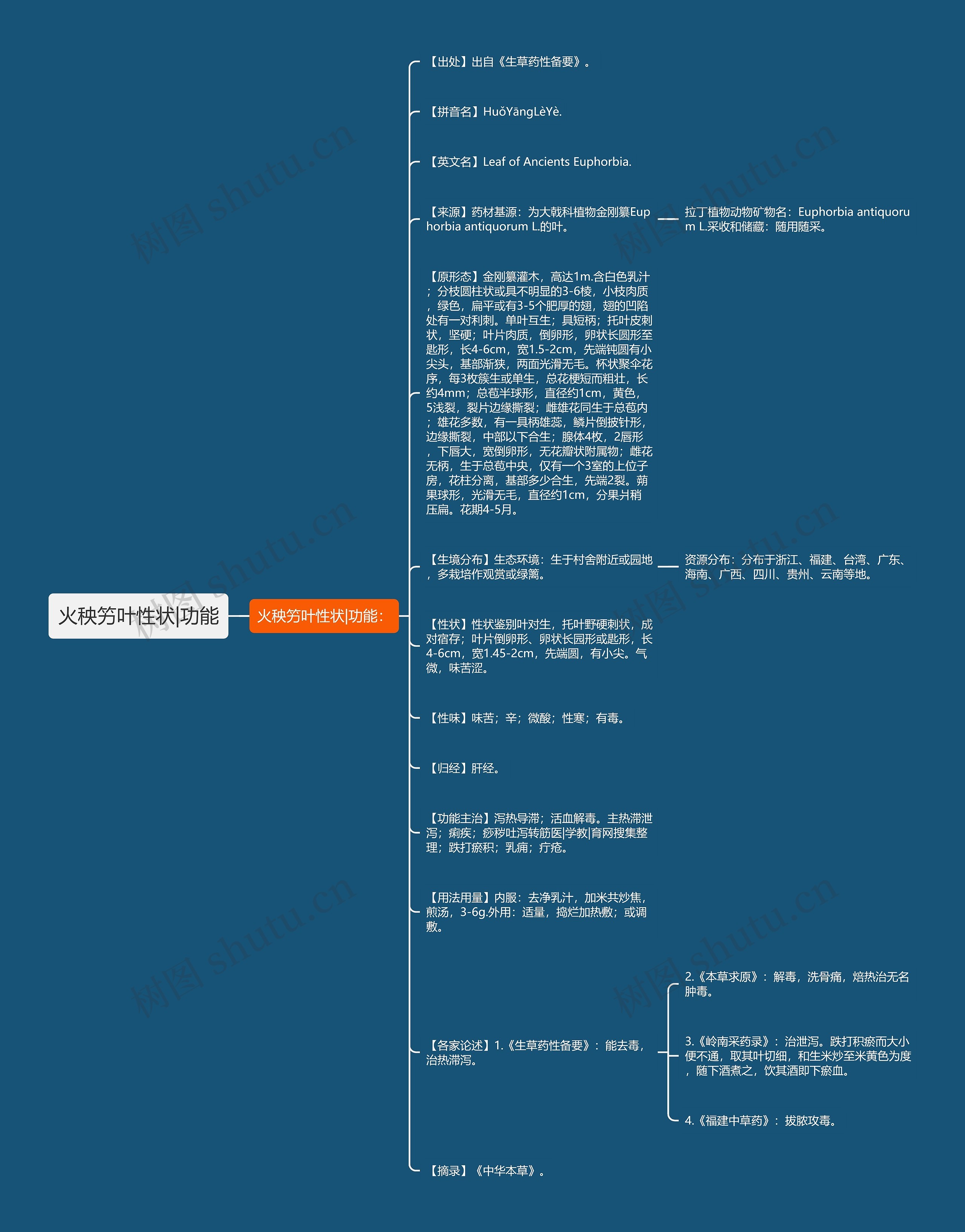 火秧竻叶性状|功能思维导图
