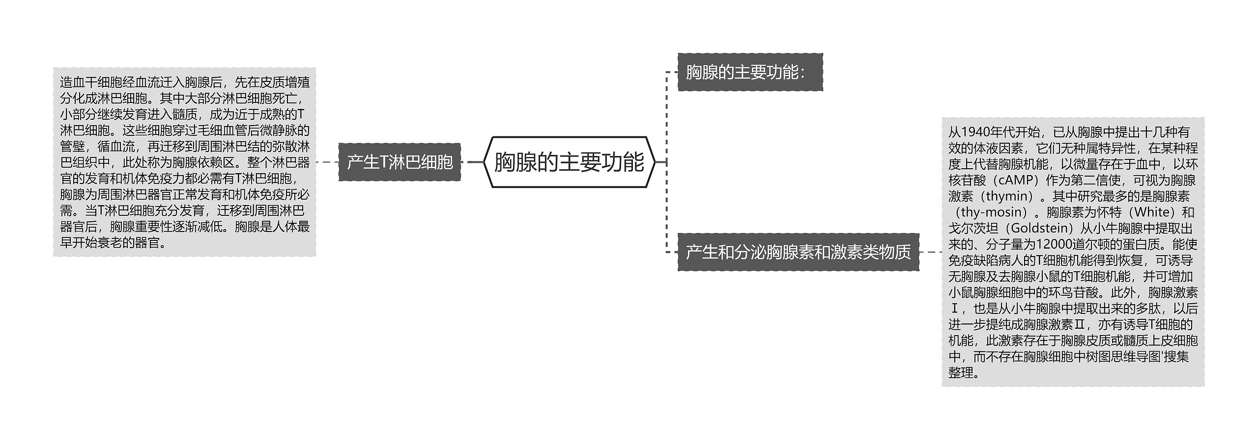 胸腺的主要功能思维导图