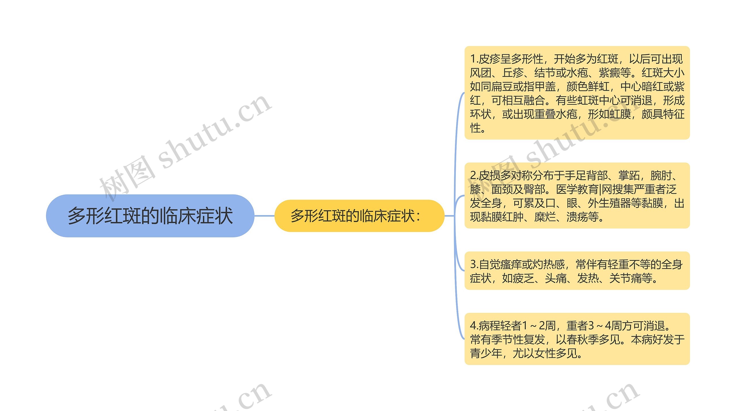 多形红斑的临床症状思维导图