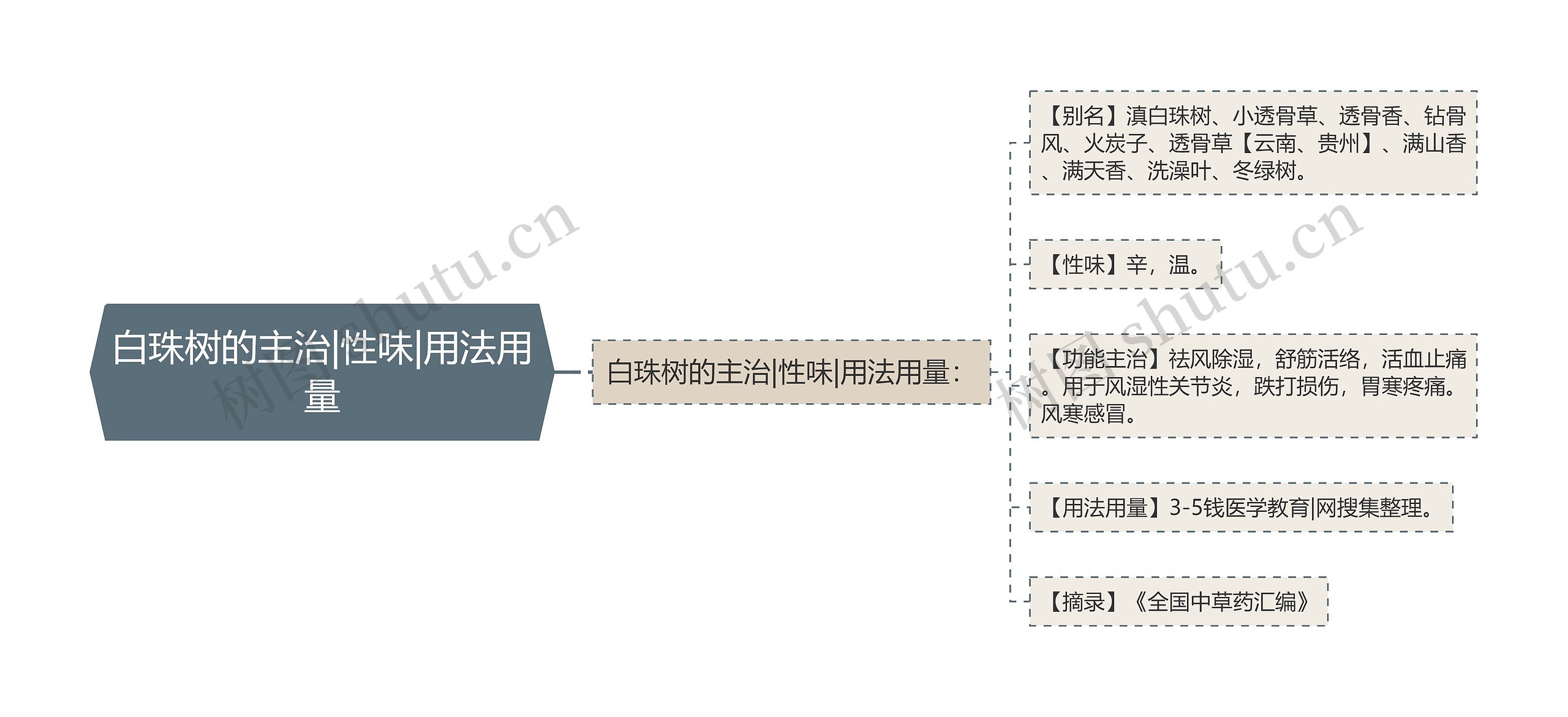 白珠树的主治|性味|用法用量 白珠树的主治|性味|用法用量