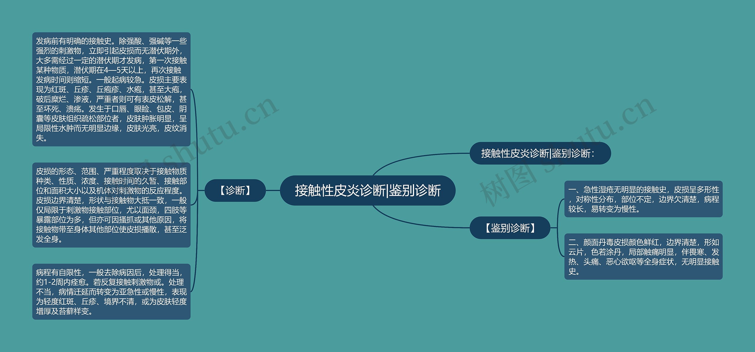 接触性皮炎诊断|鉴别诊断思维导图