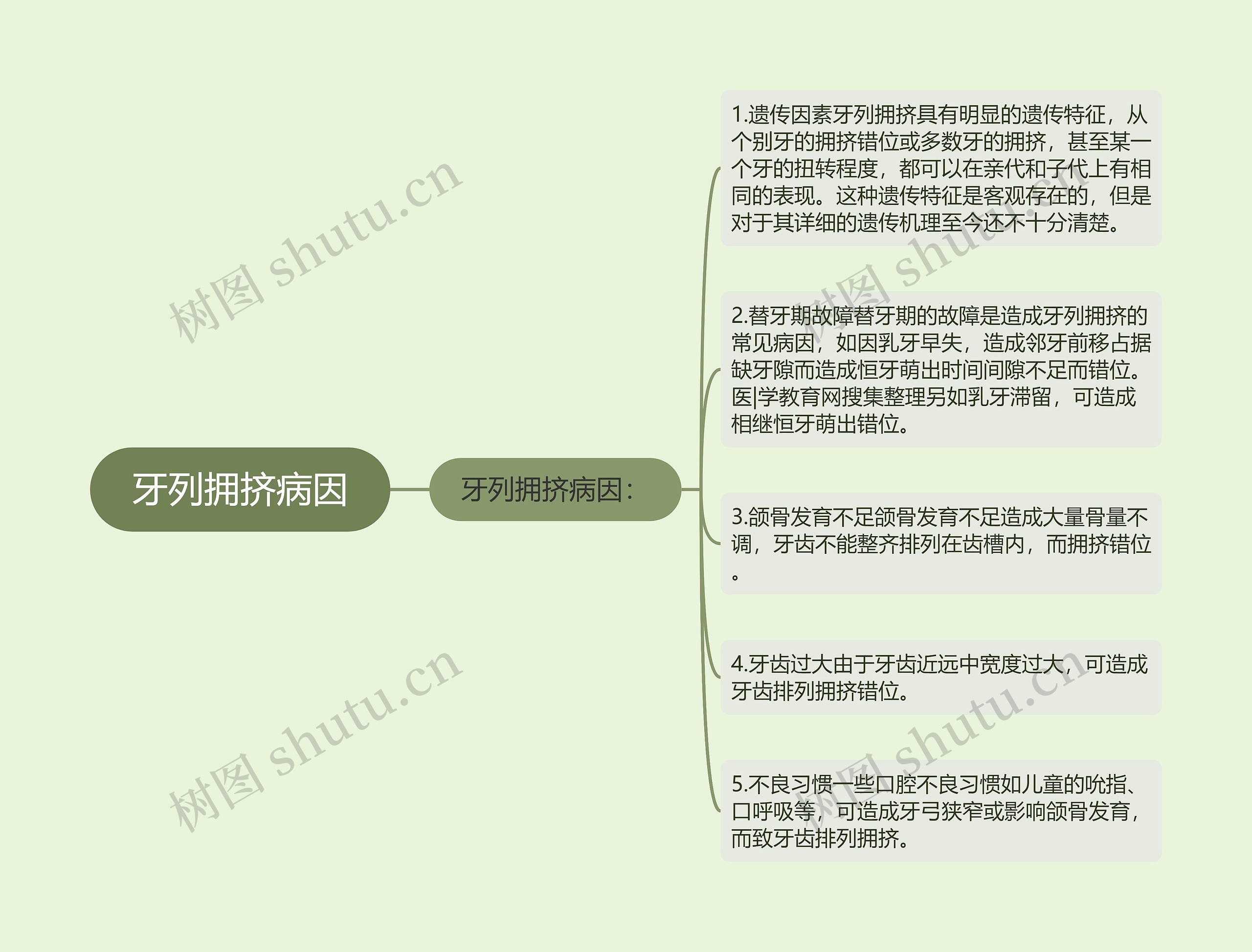 牙列拥挤病因思维导图