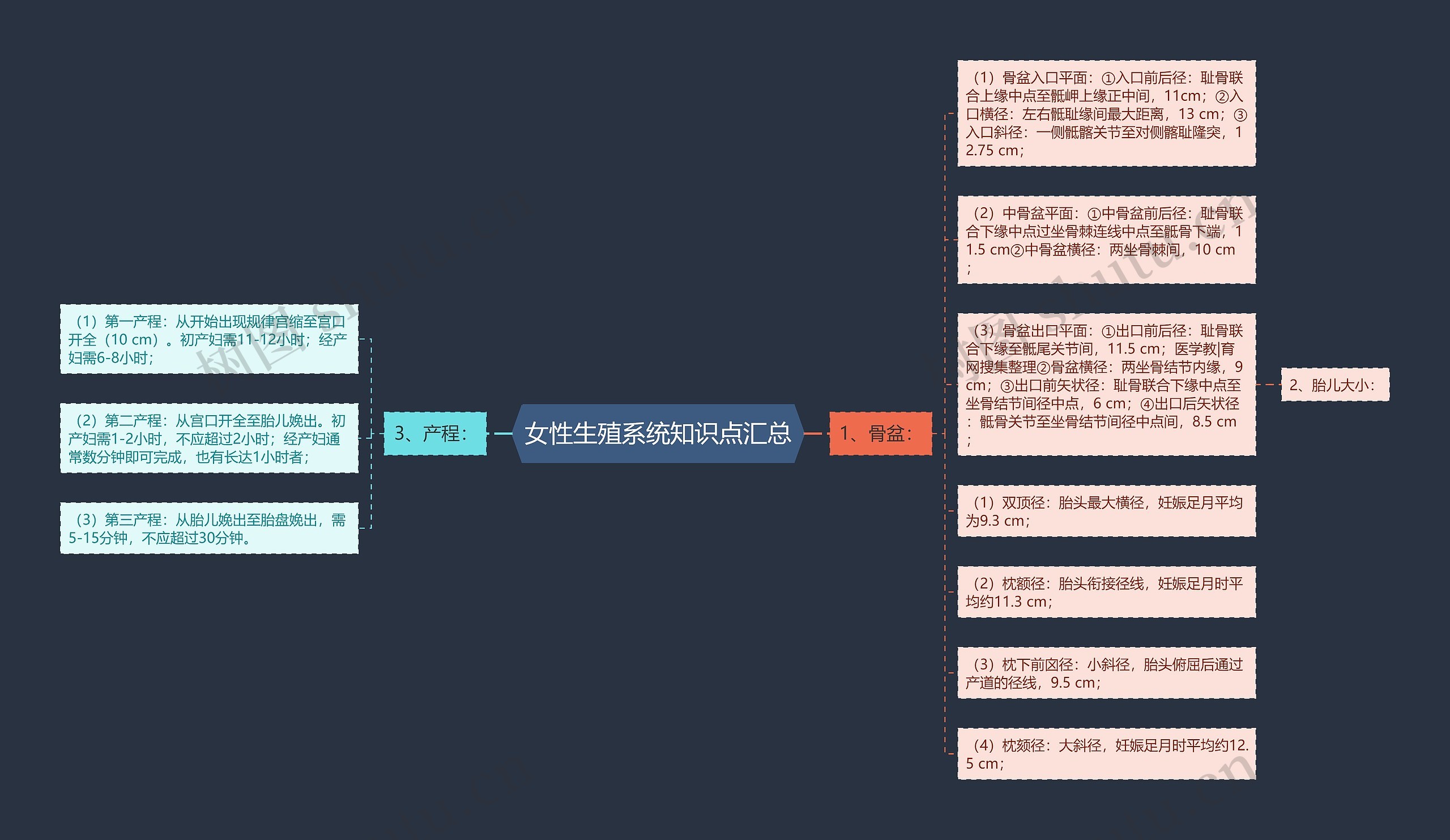 女性生殖系统知识点汇总思维导图