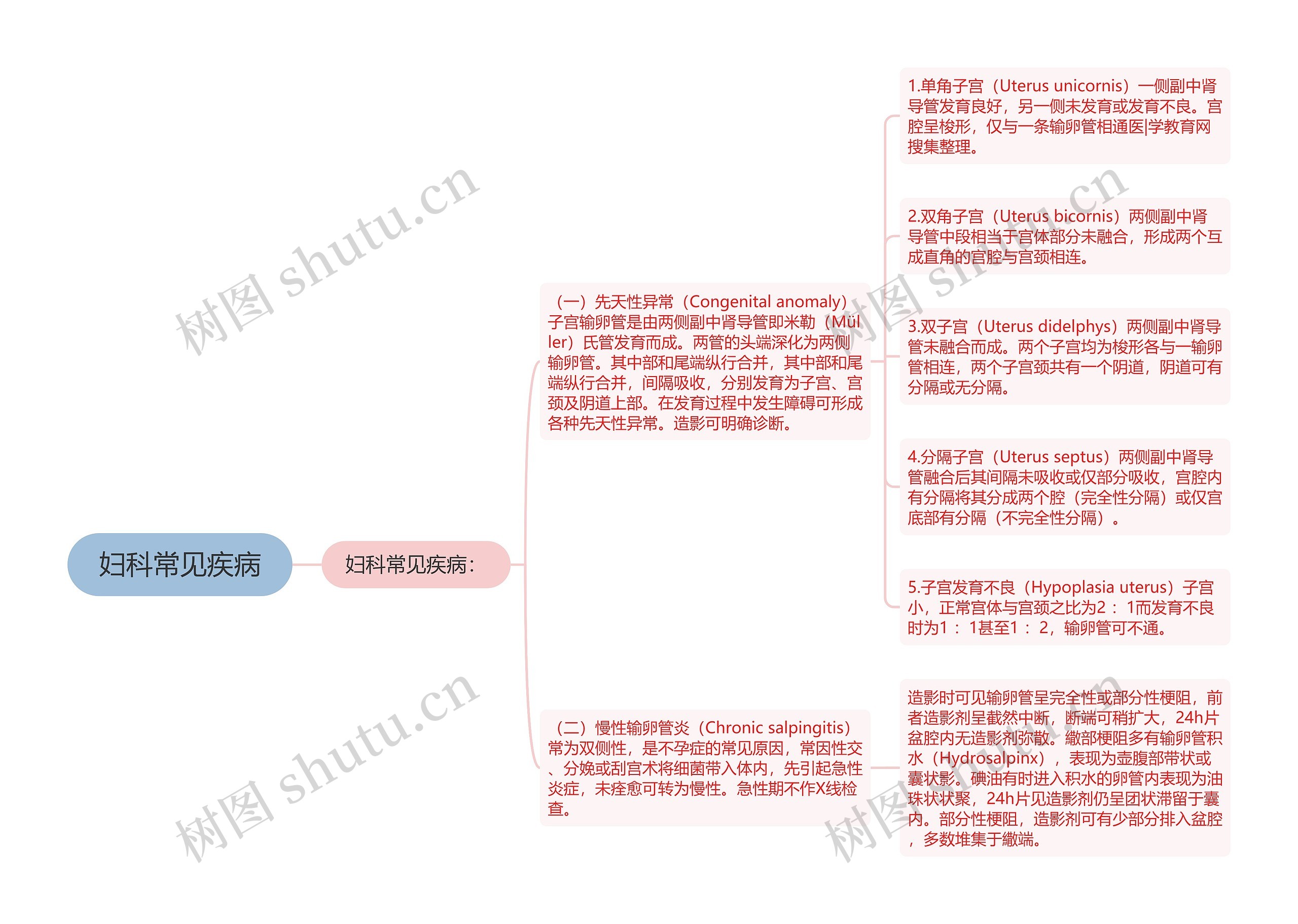 妇科常见疾病思维导图