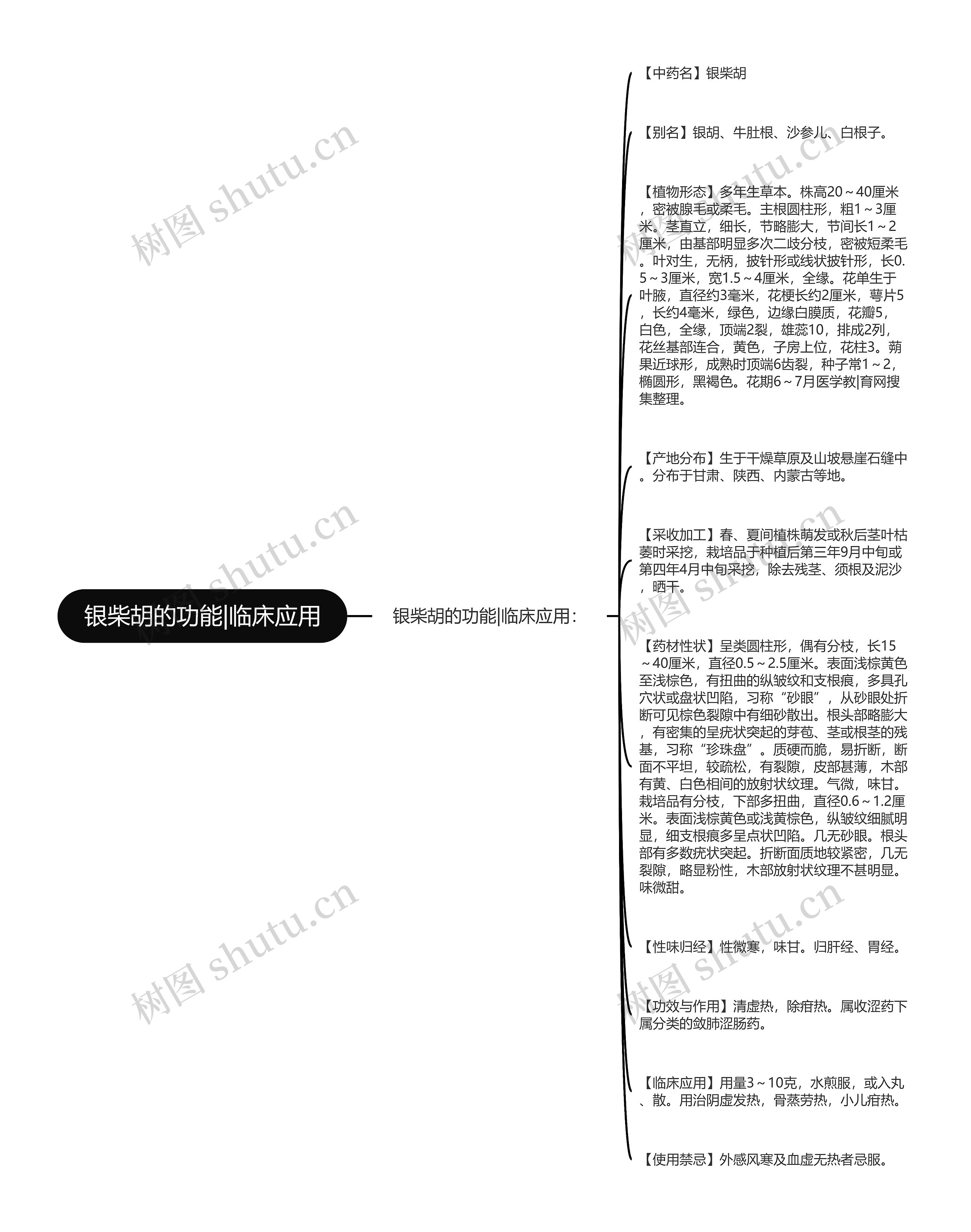 银柴胡的功能|临床应用思维导图