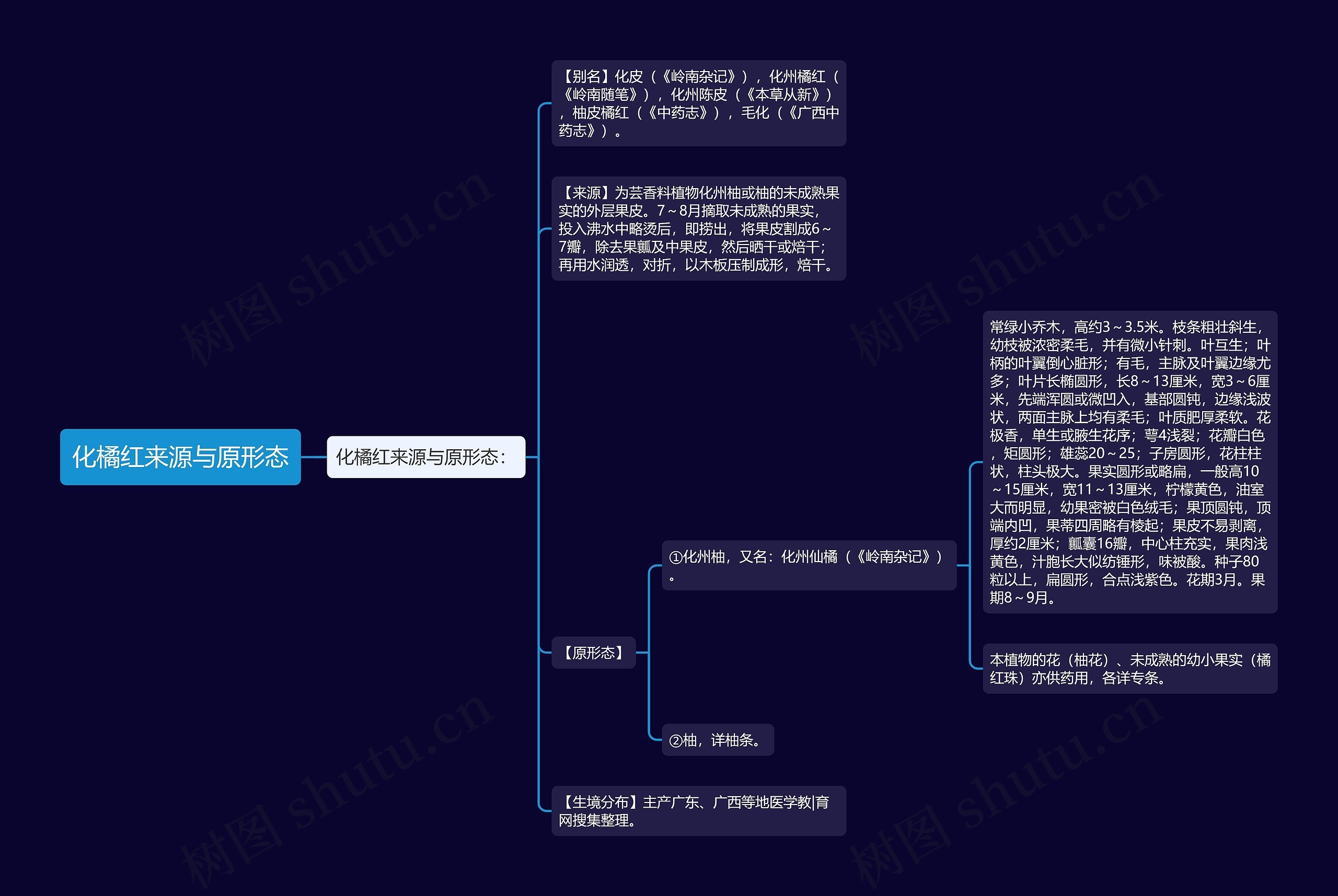 化橘红来源与原形态思维导图