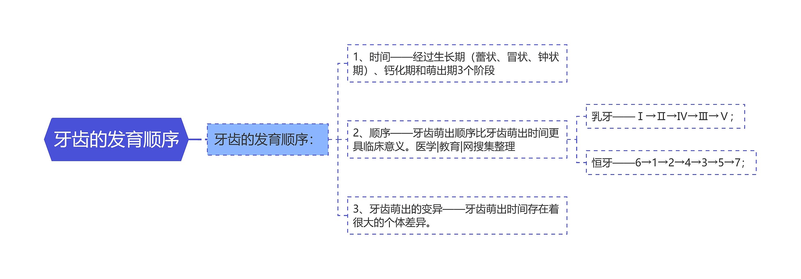 牙齿的发育顺序思维导图