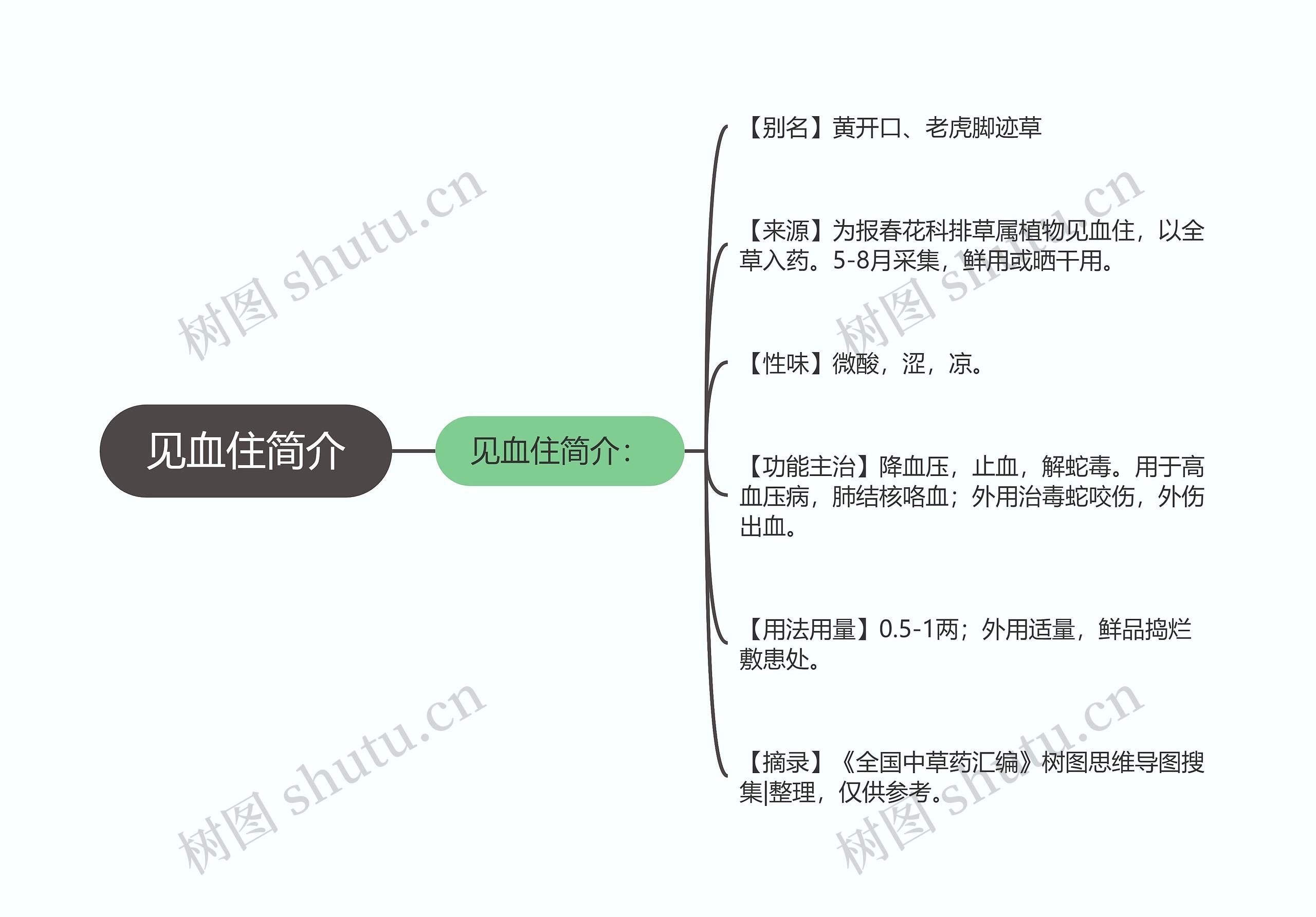 见血住简介思维导图