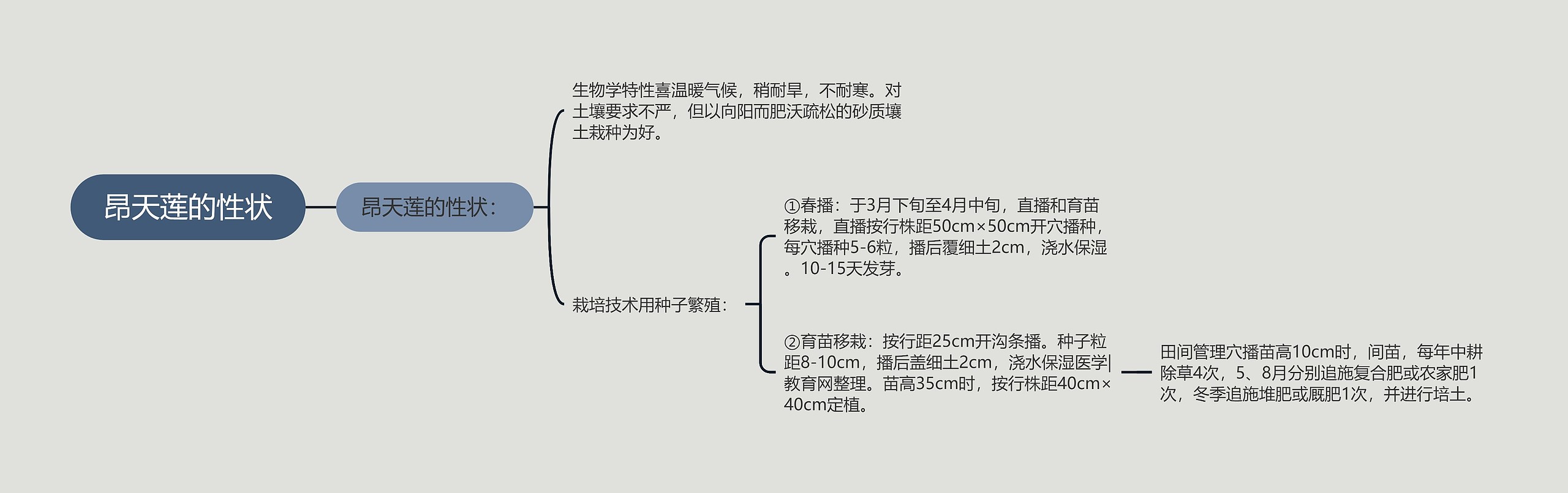 昂天莲的性状