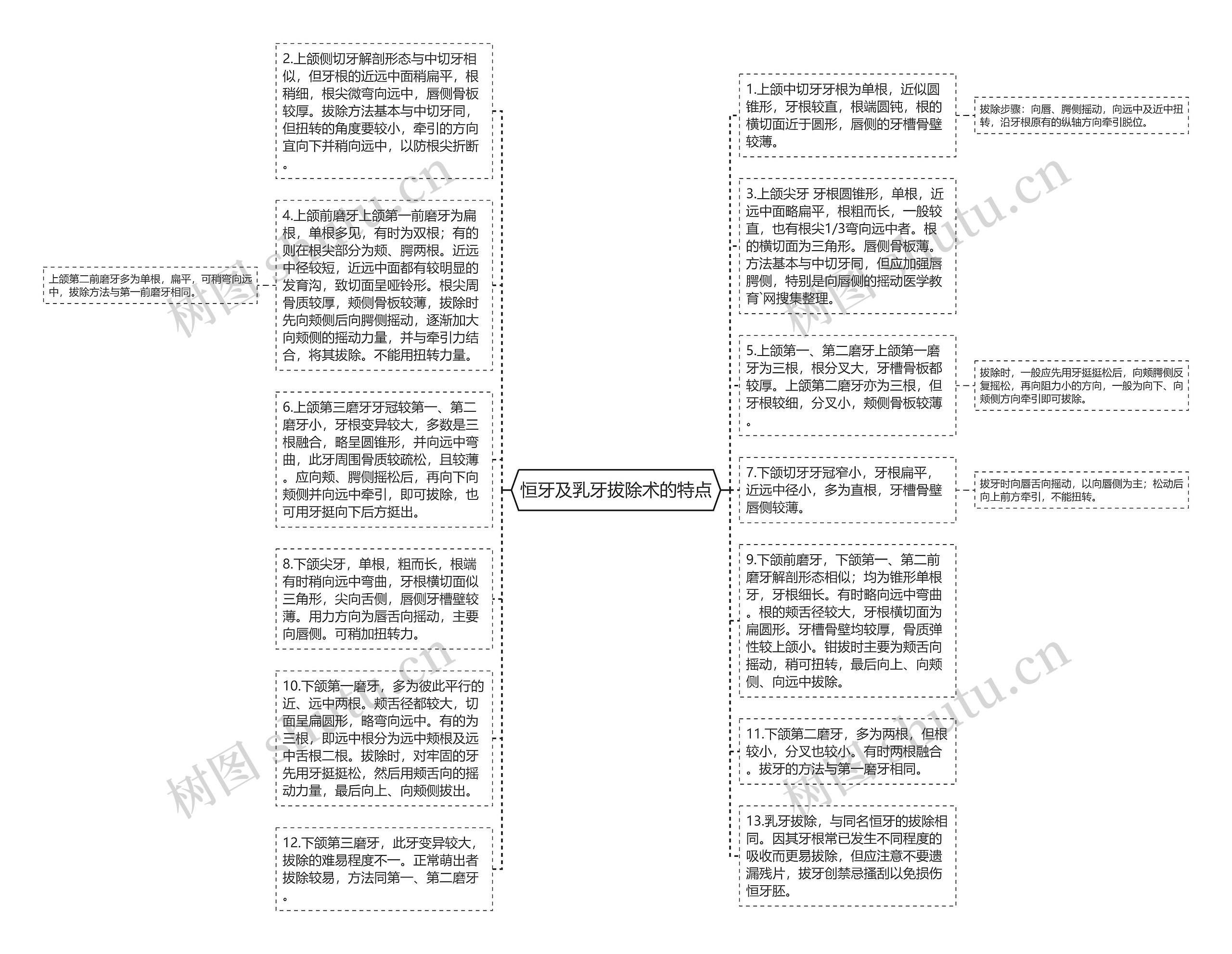 恒牙及乳牙拔除术的特点思维导图