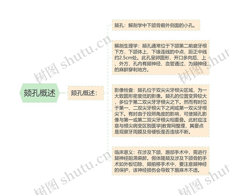 颏孔概述思维导图_编号p6749208-TreeMind树图