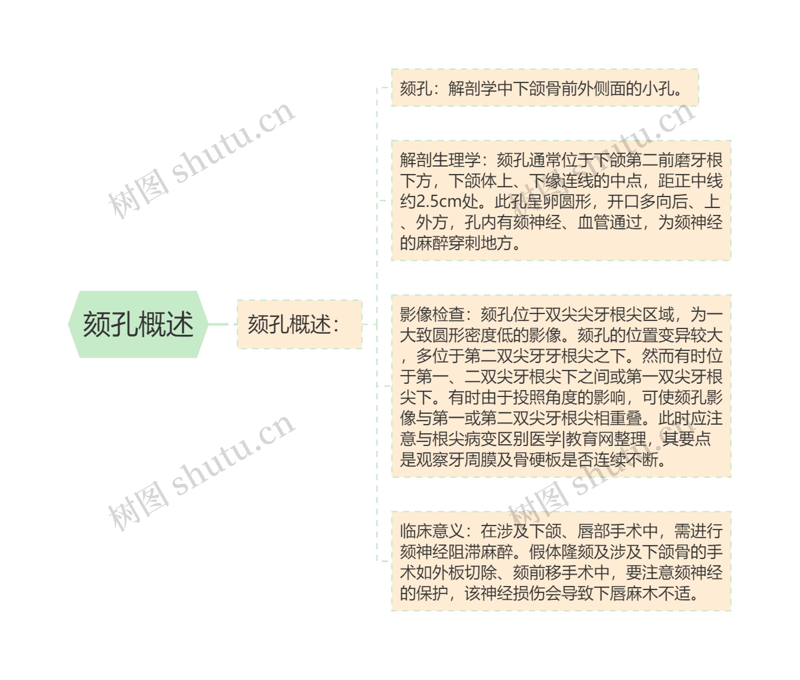 颏孔概述 颏孔概述