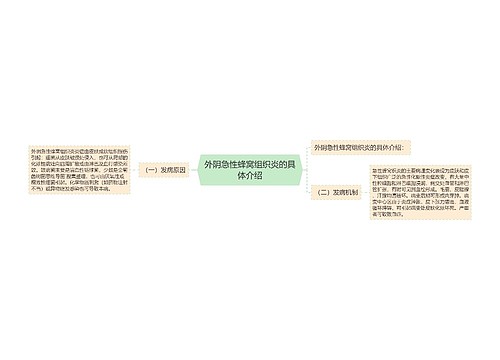 外阴急性蜂窝组织炎的具体介绍