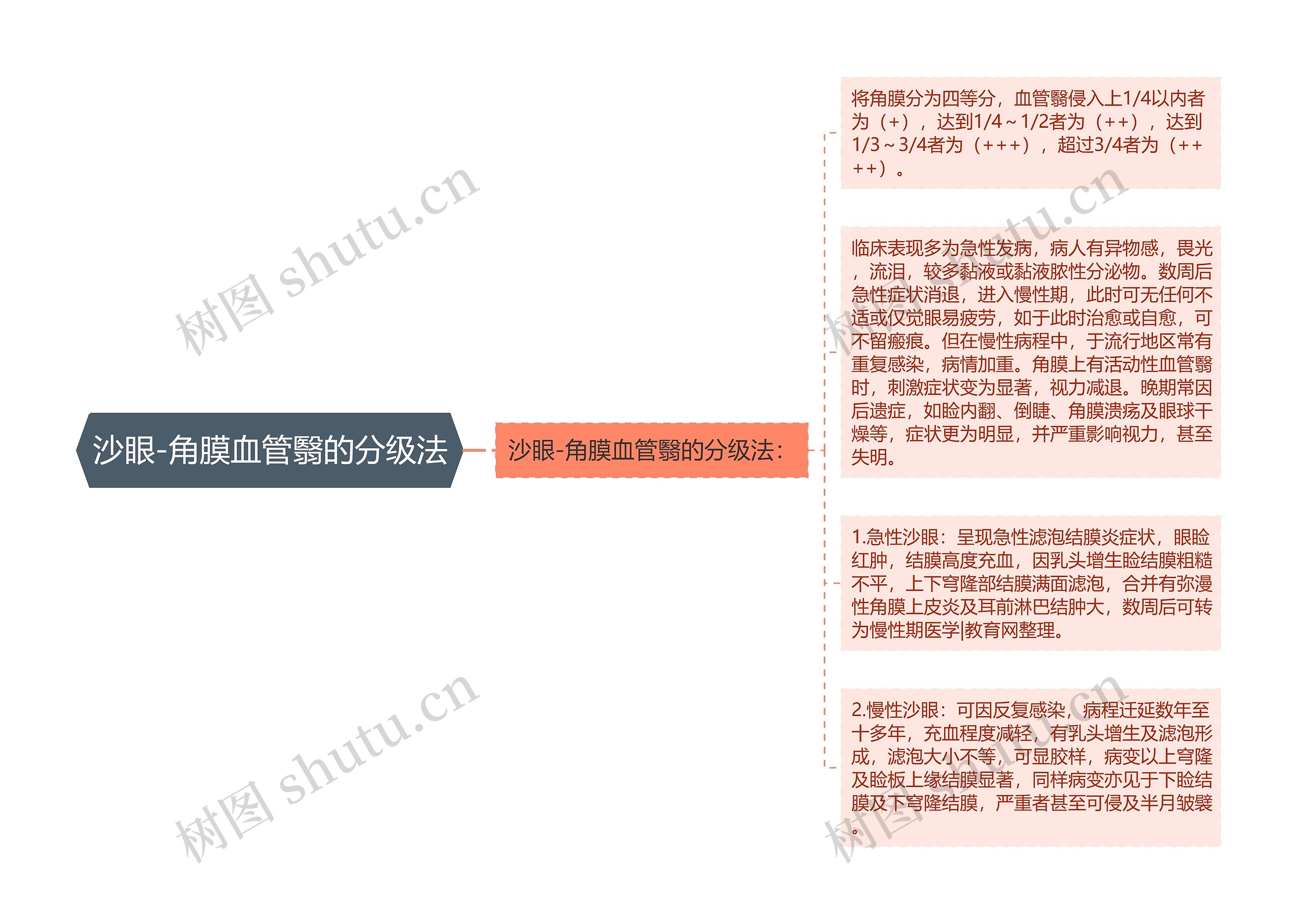 沙眼-角膜血管翳的分级法 沙眼-角膜血管翳的分级法