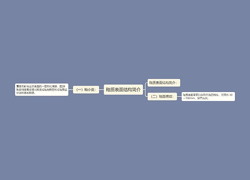 釉质表面结构简介