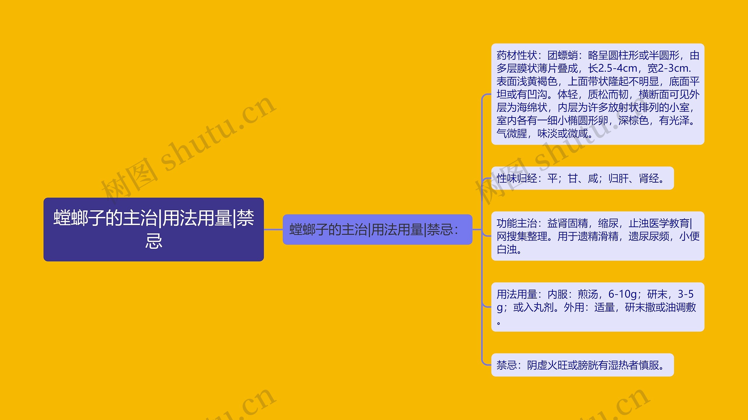 螳螂子的主治|用法用量|禁忌 螳螂子的主治|用法用量|禁忌