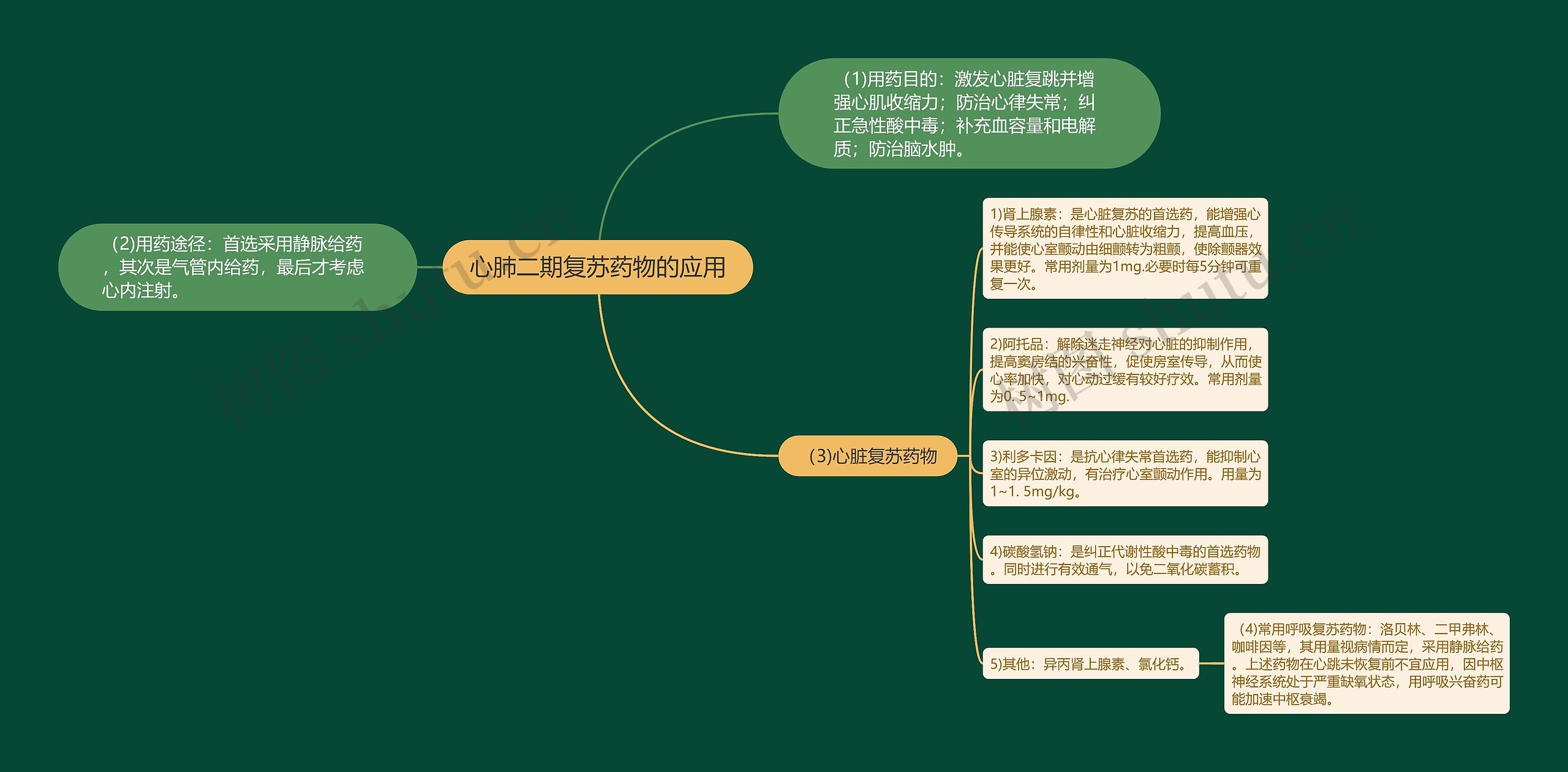 心肺二期复苏药物的应用