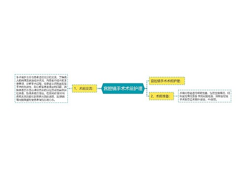 宫腔镜手术术前护理