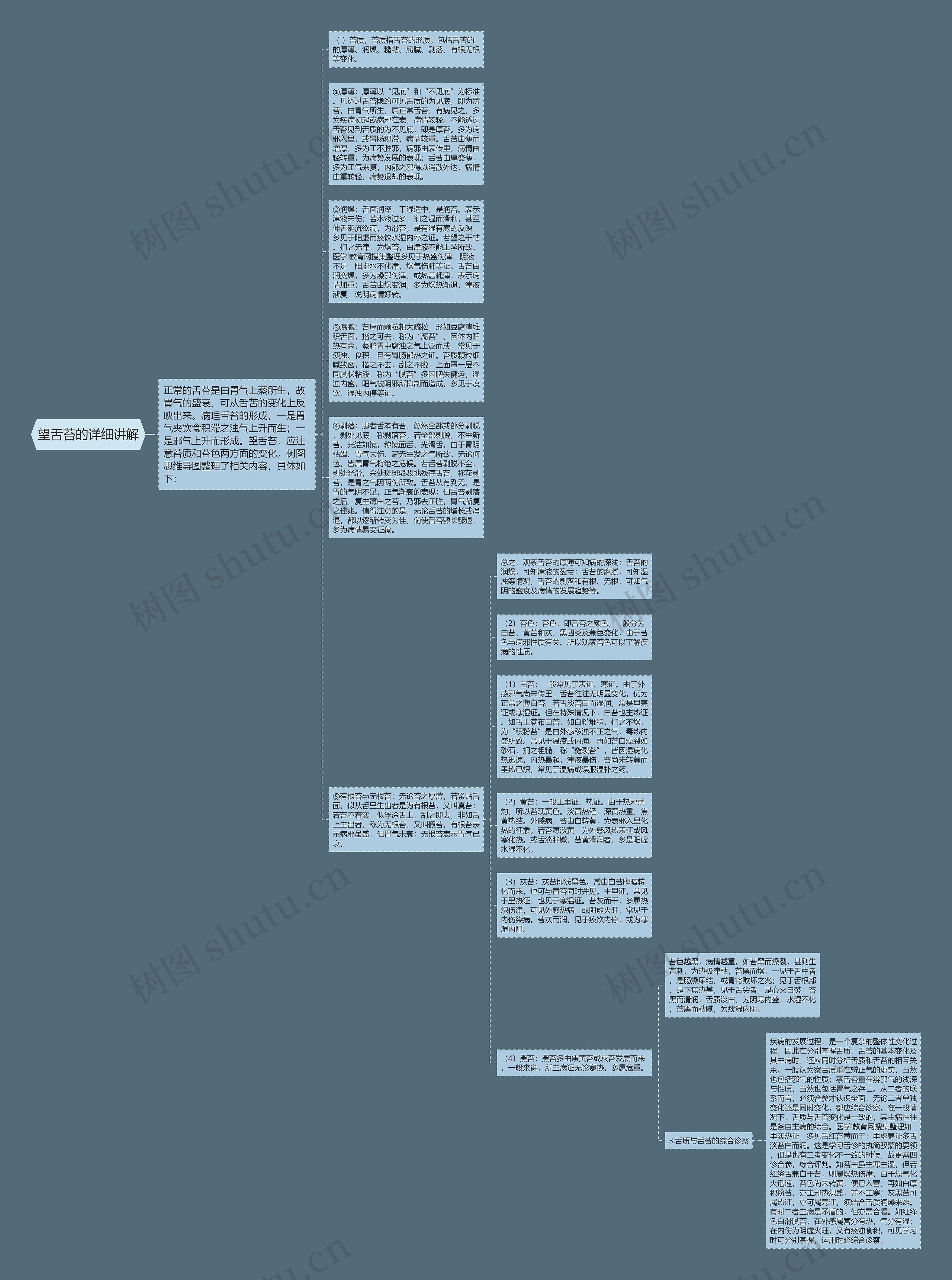 望舌苔的详细讲解思维导图