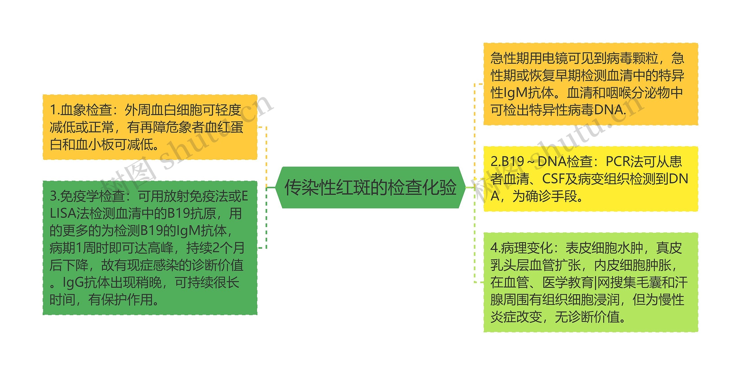 传染性红斑的检查化验 传染性红斑的检查化验