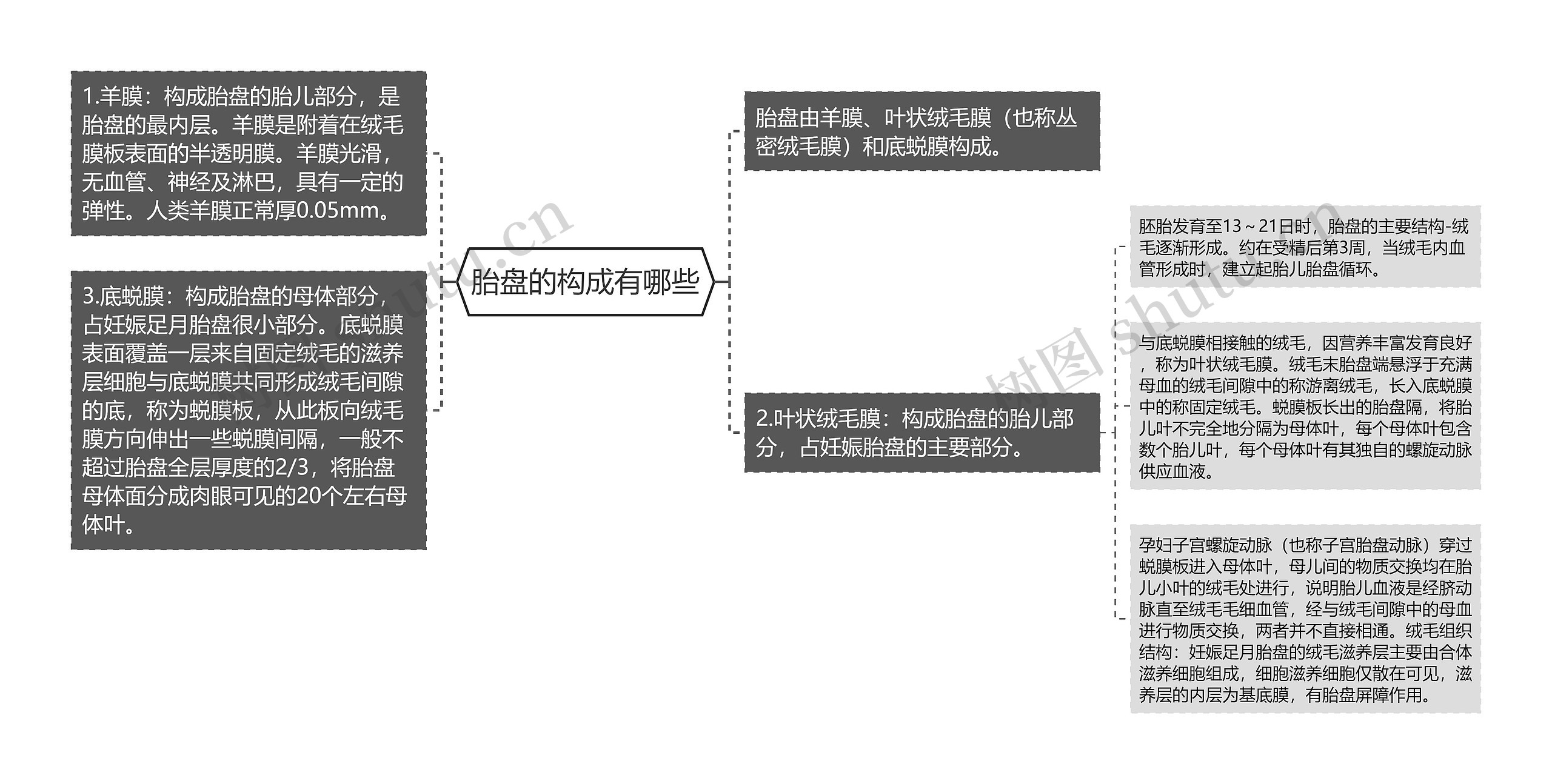 胎盘的构成有哪些思维导图